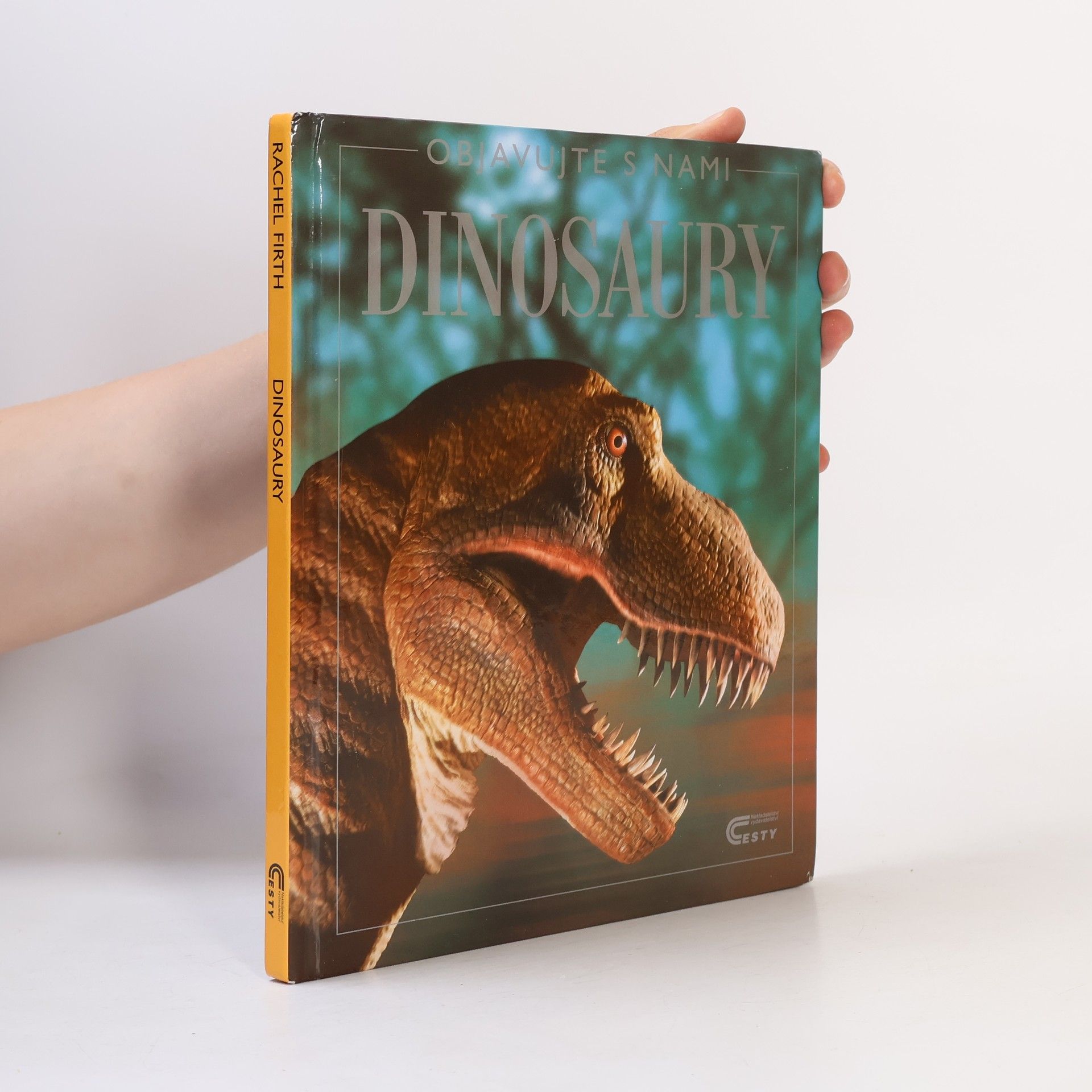 Rachel Firth Dinosaury
