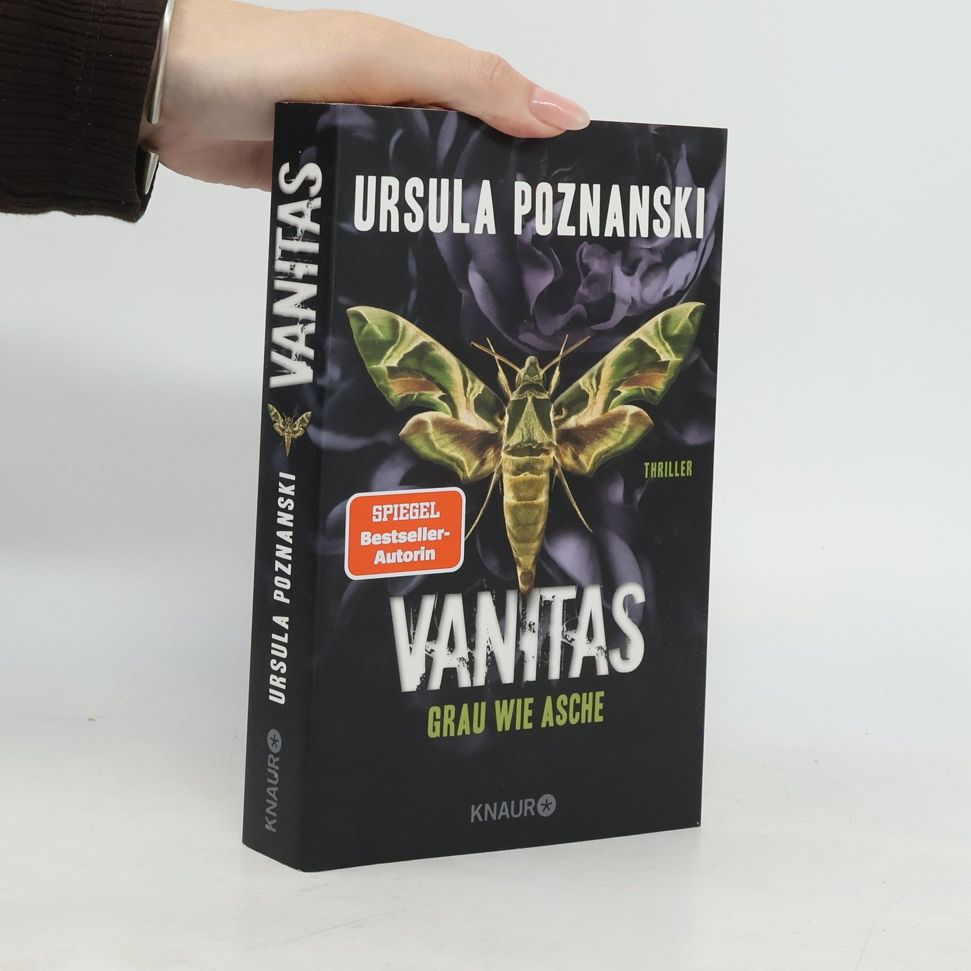 Ursula Poznanski Vanitas. Grau wie Asche
