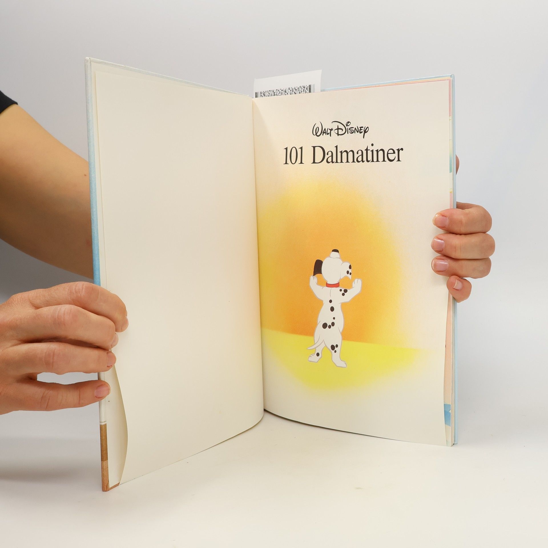 Autorenkollektiv 101 Dalmatiner