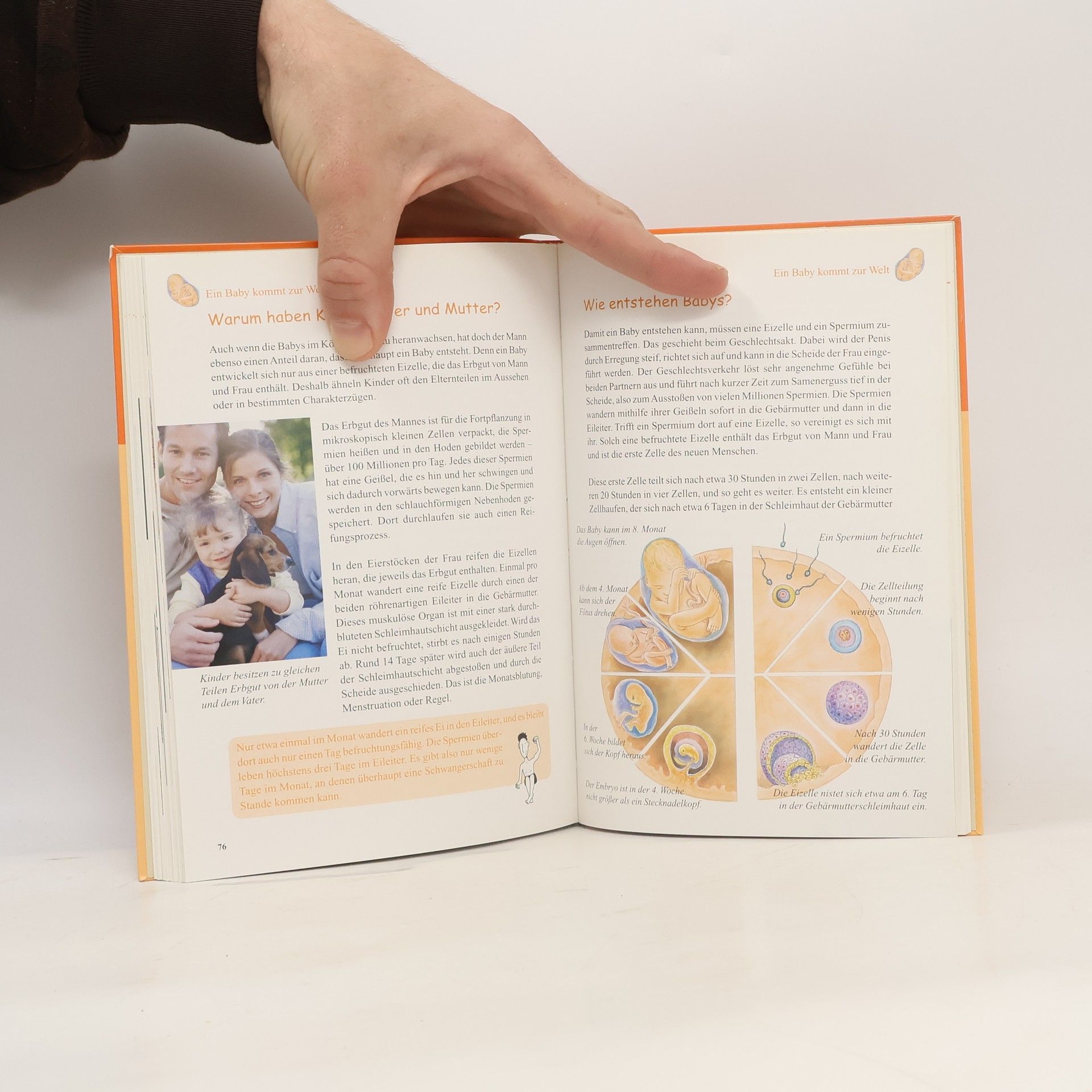Dr. Rainer Köthe Tessloffs superschlaues Antwortbuch - unser Körper
