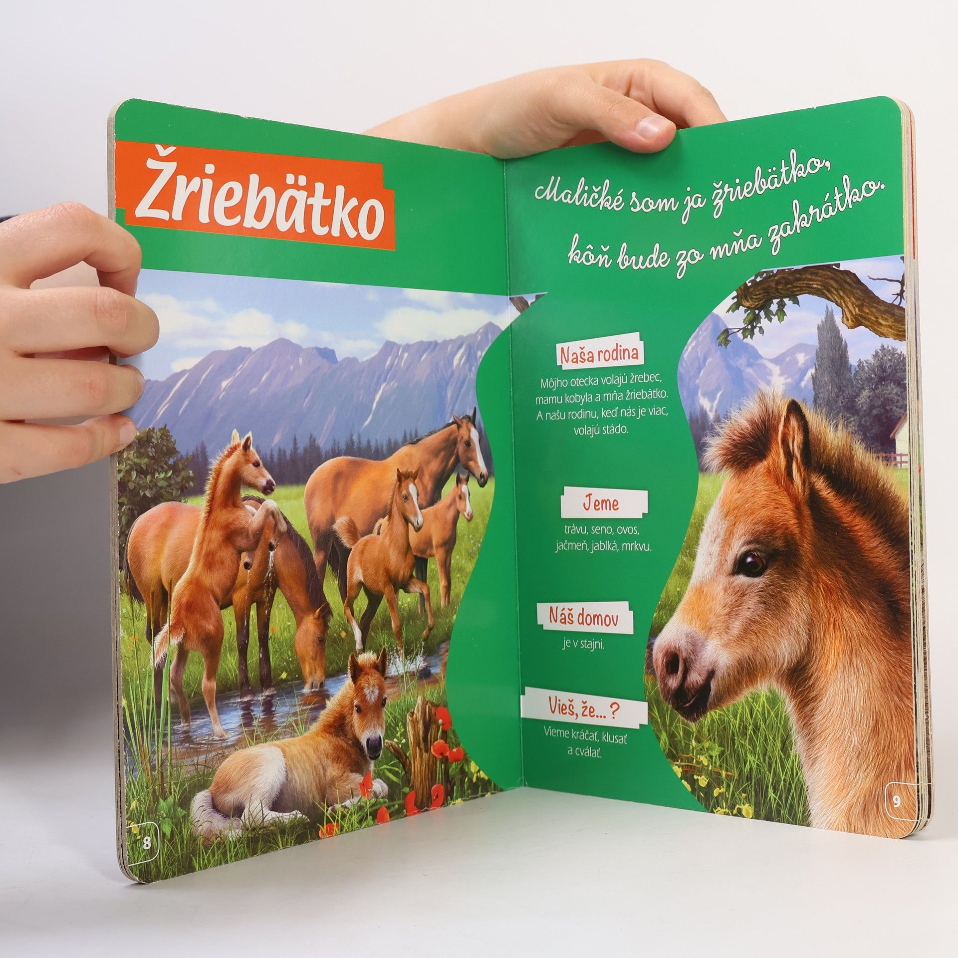 Auteurscollectief Mláďatká okolo nášho domu