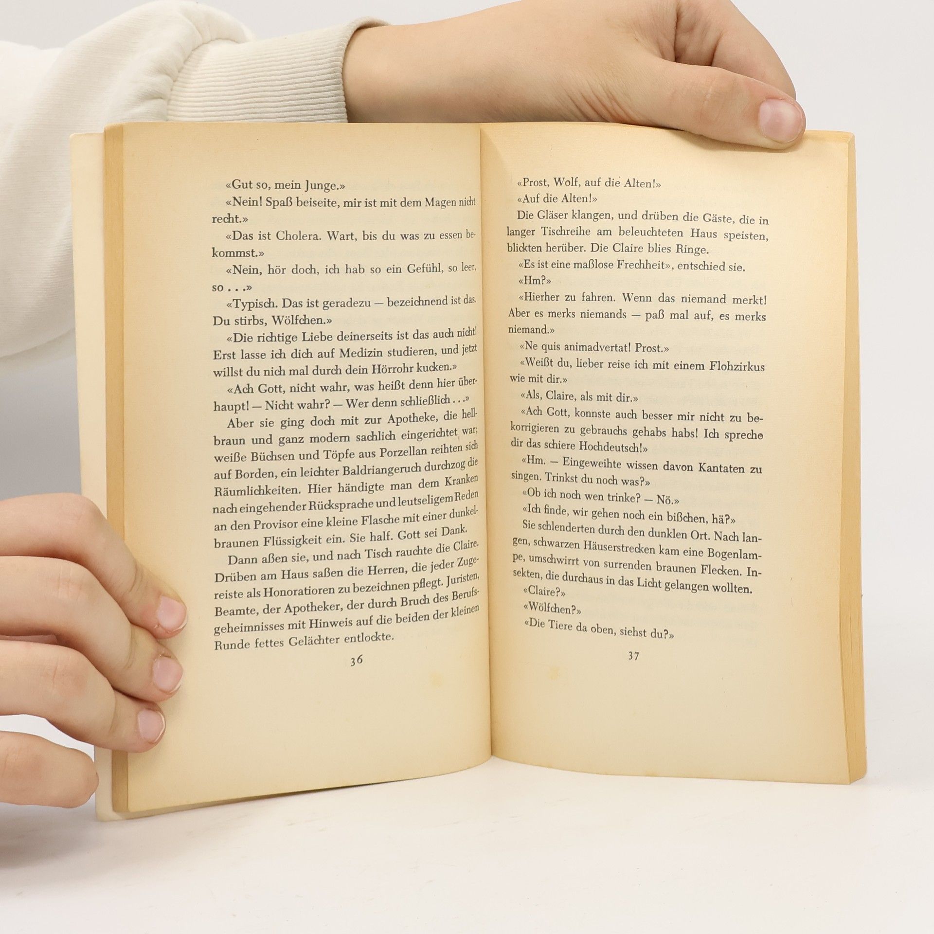 Kurt Tucholsky Rheinsberg: Ein Bilderbuch für Verliebte und anderes