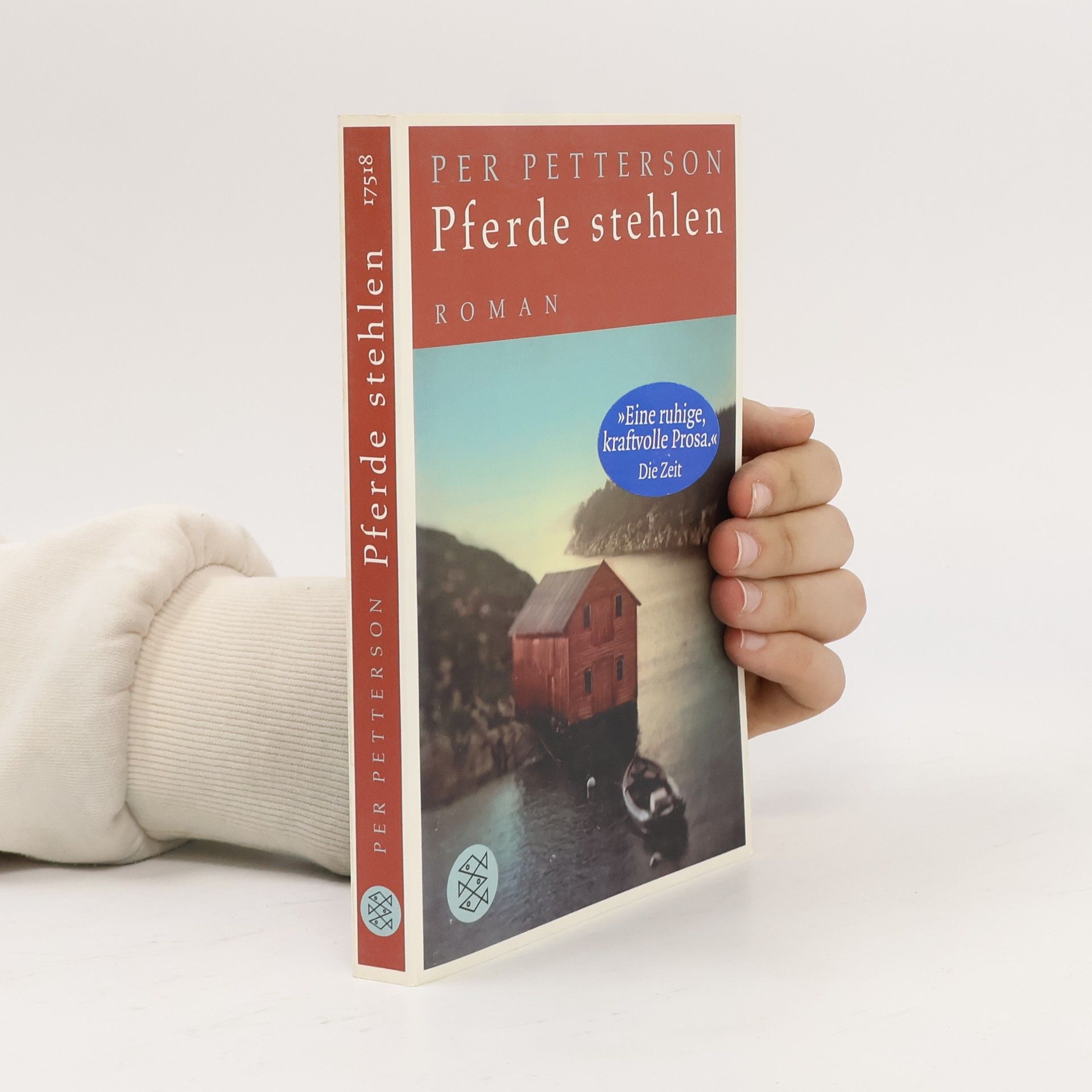 Per Petterson Pferde stehlen