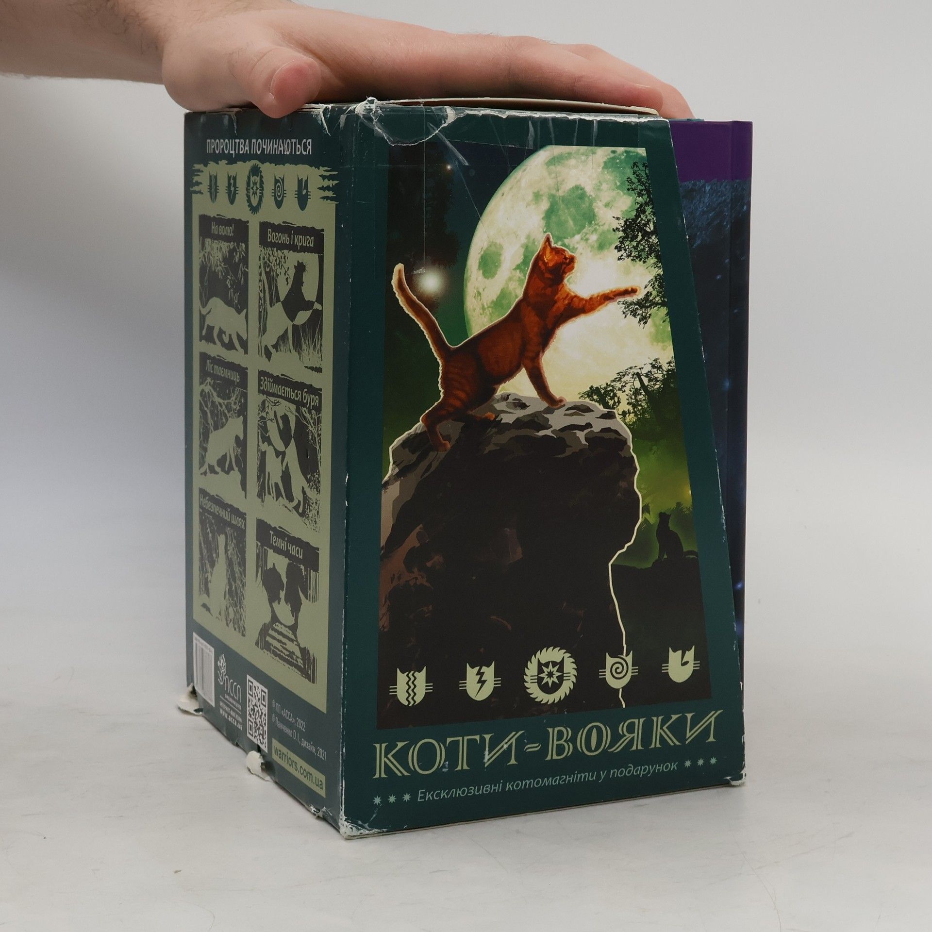 Ерін Гантер Коти-Вояки 1-6