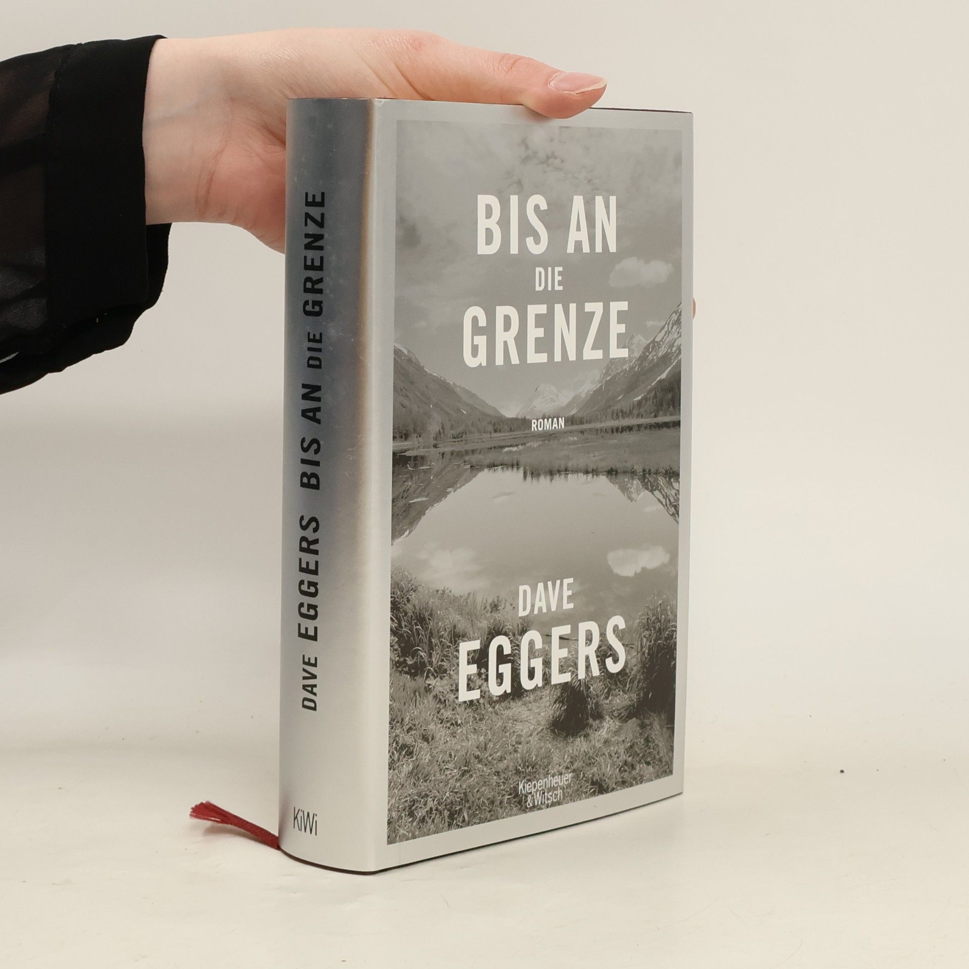 Dave Eggers Bis an die Grenze