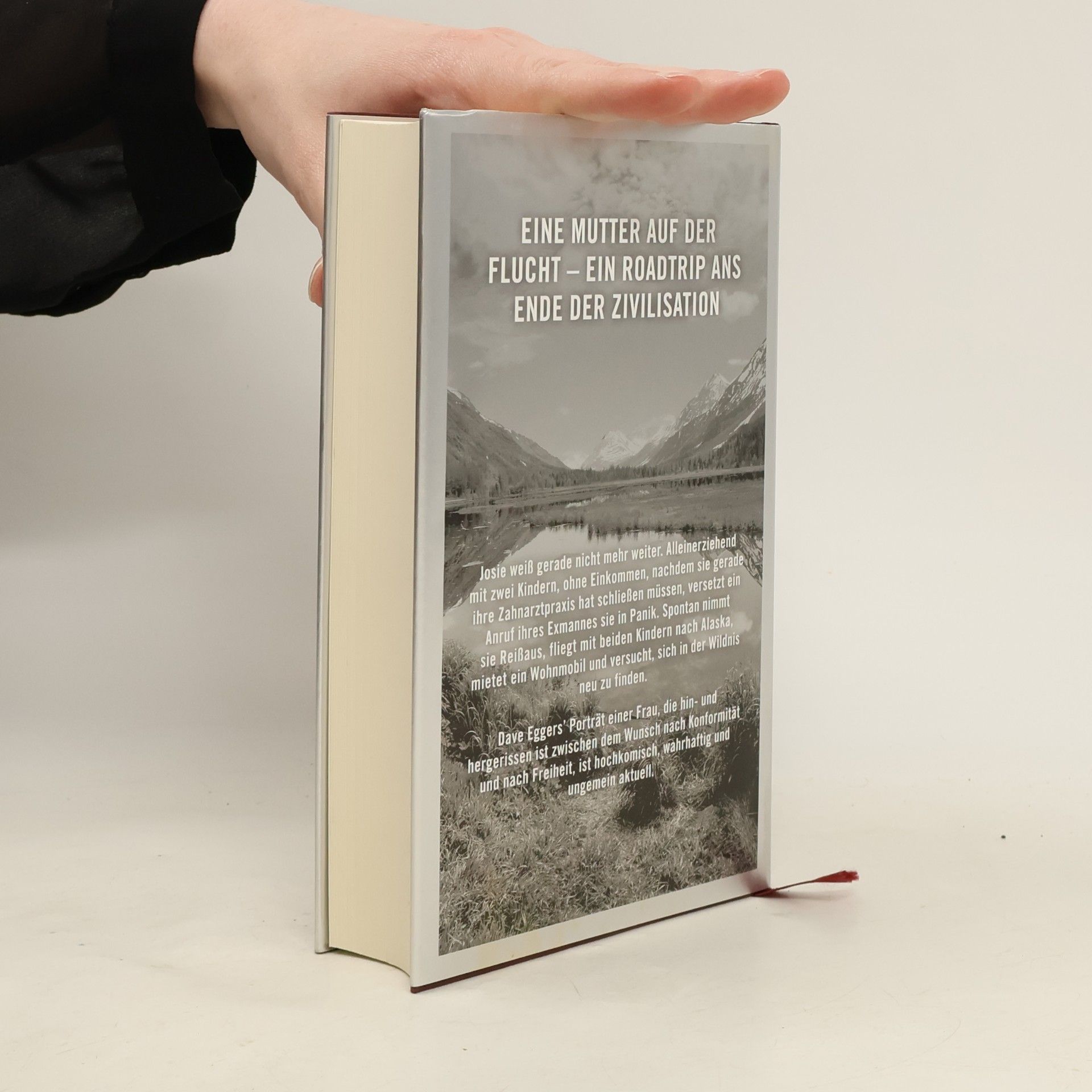 Dave Eggers Bis an die Grenze