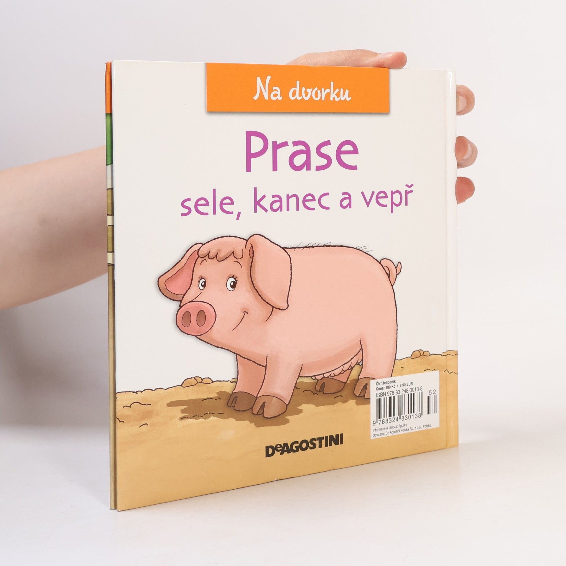 Autores varios Na dvorku 23. Prase