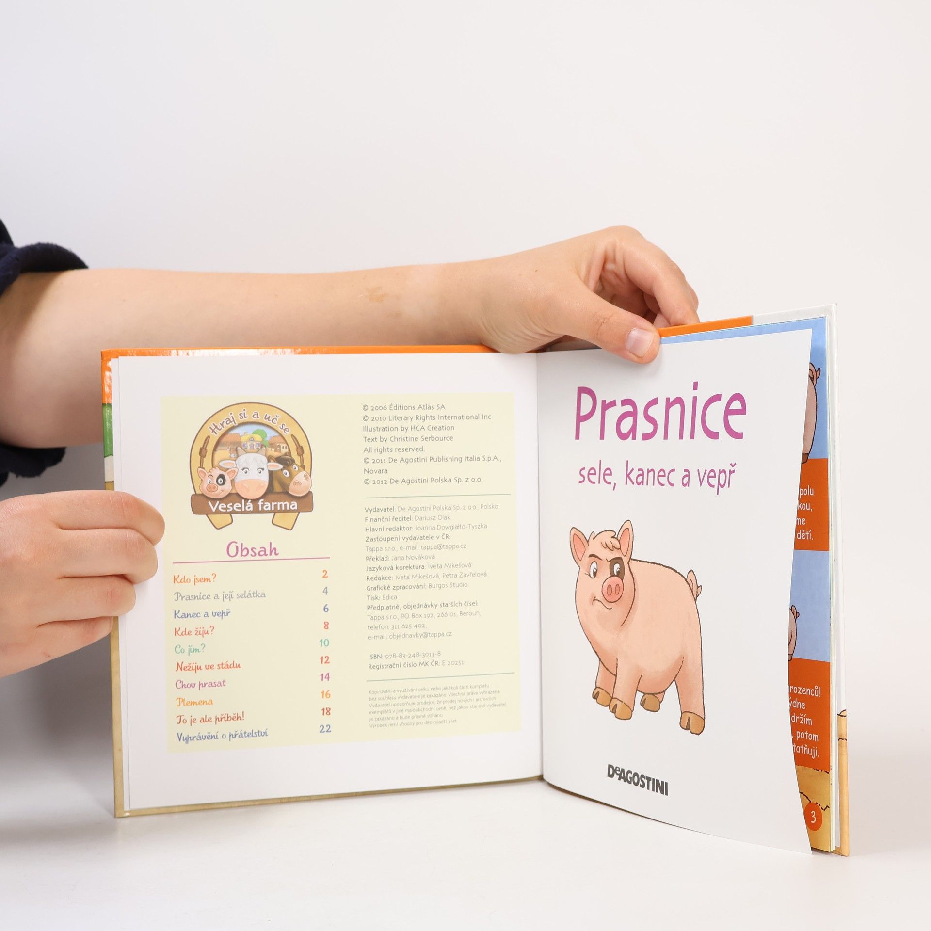 Autores varios Na dvorku 23. Prase