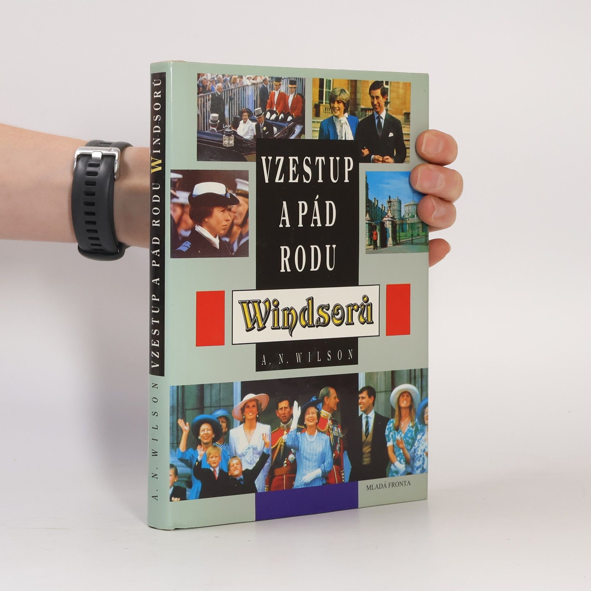 Wison Vzestup a pád rodu Windsorů