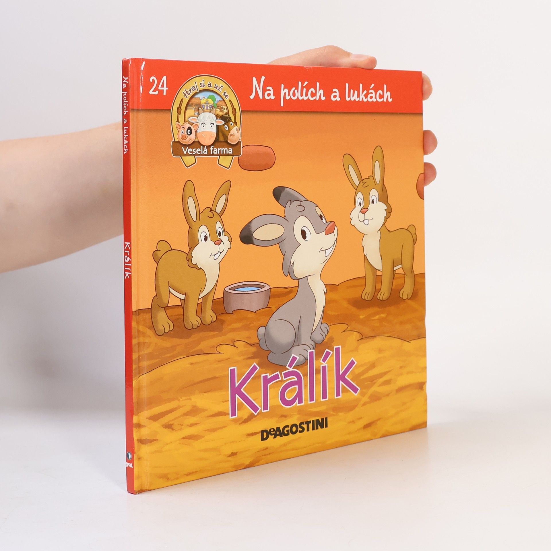 Kolektiv autorů Na polích a lukách 24. Králík