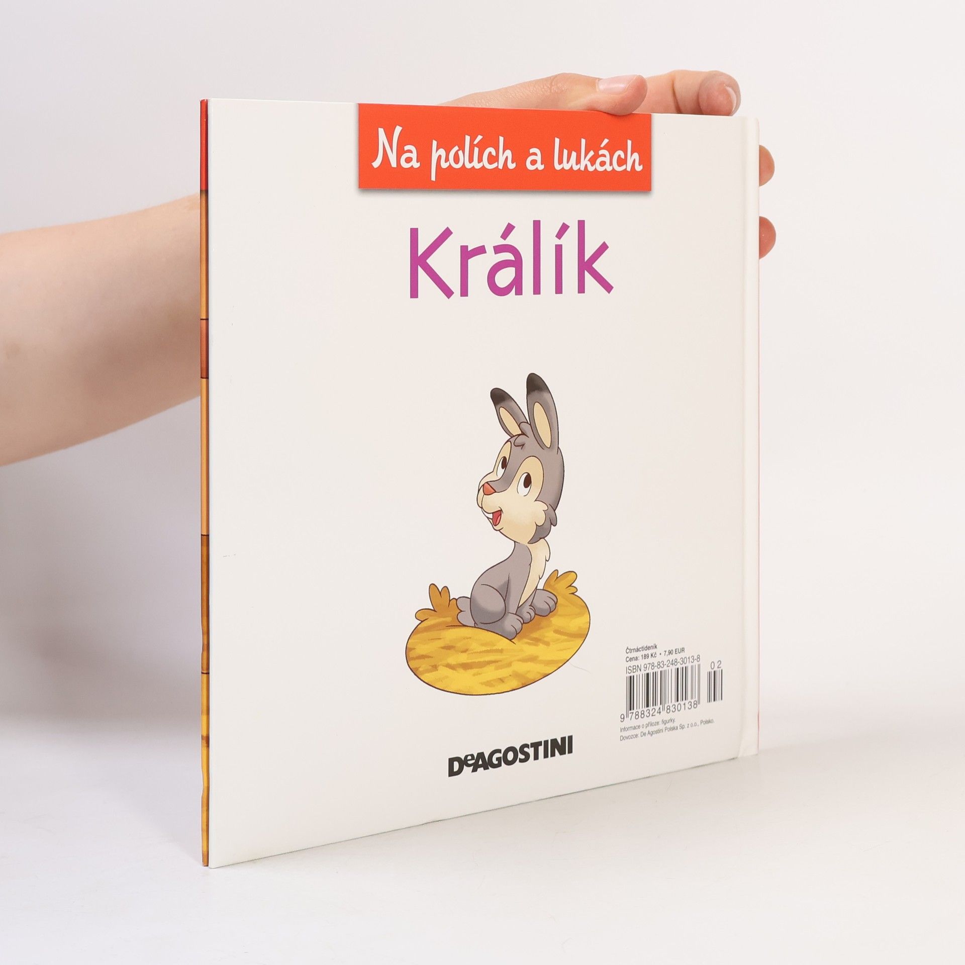 Autorenkollektiv Na polích a lukách 24. Králík