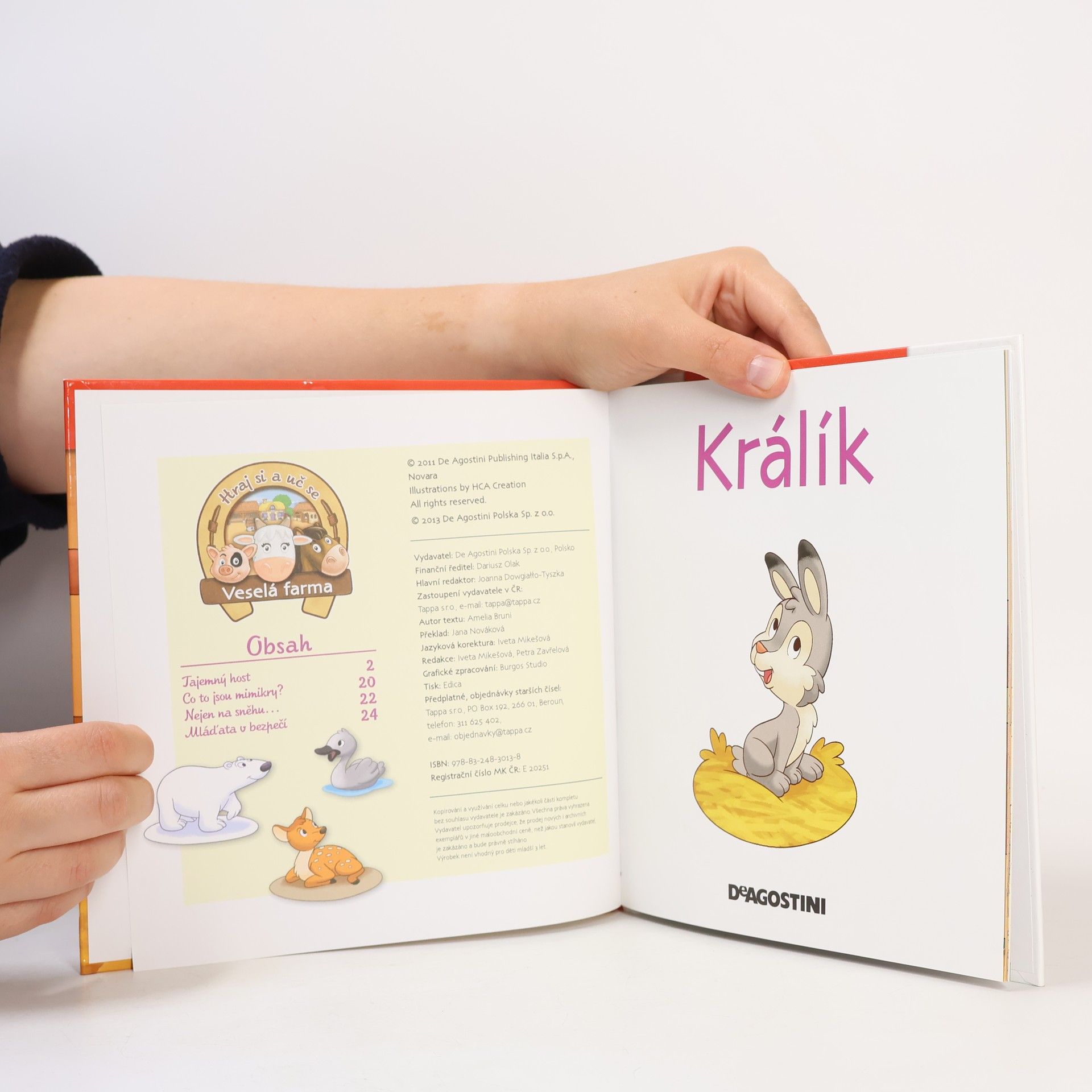 Autorenkollektiv Na polích a lukách 24. Králík