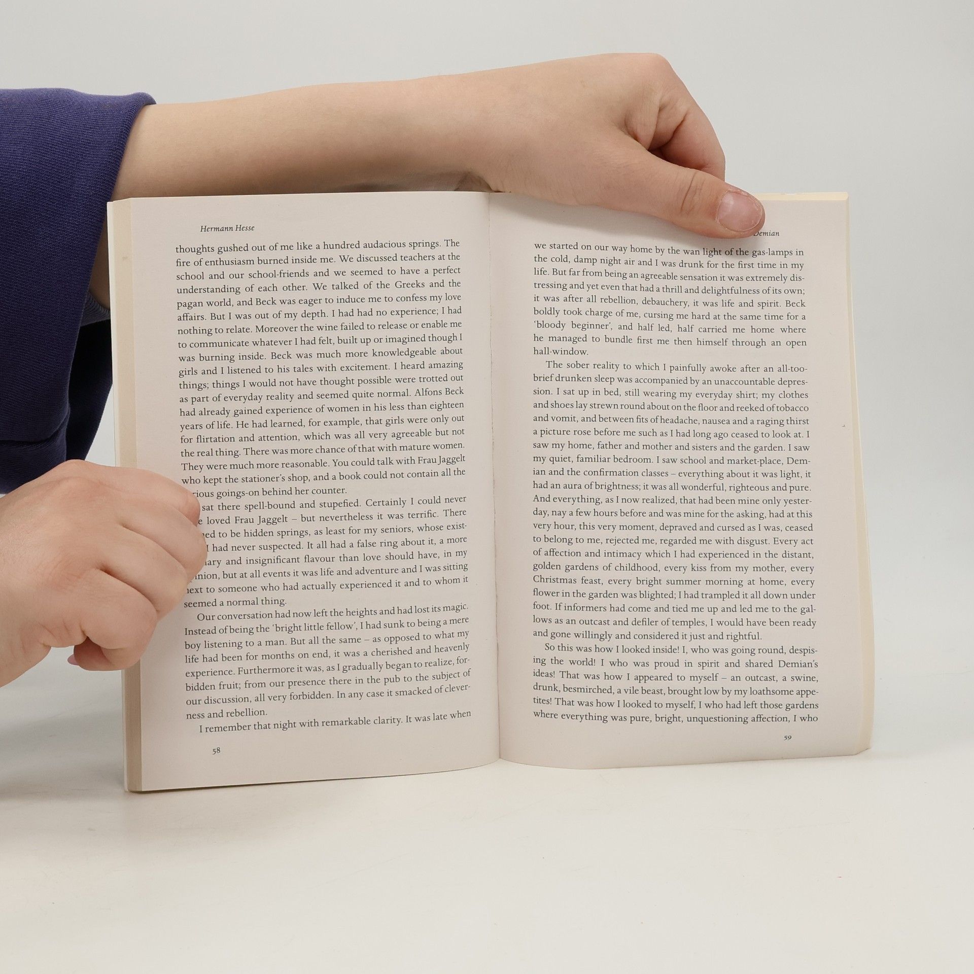 Hermann Hesse Modern Classics: Demian