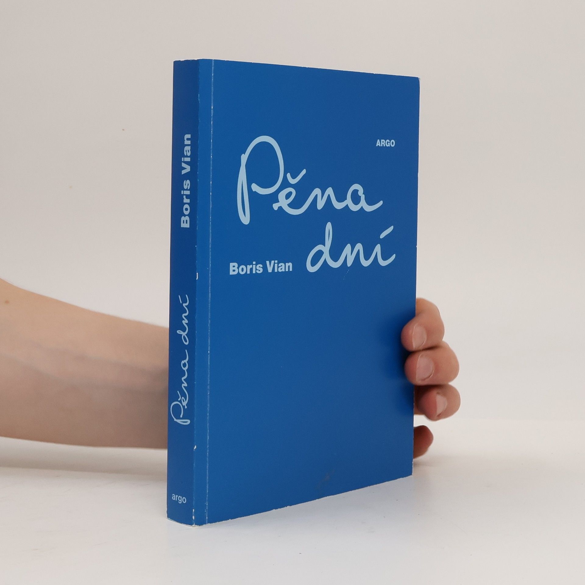 Boris Vian Pěna dní