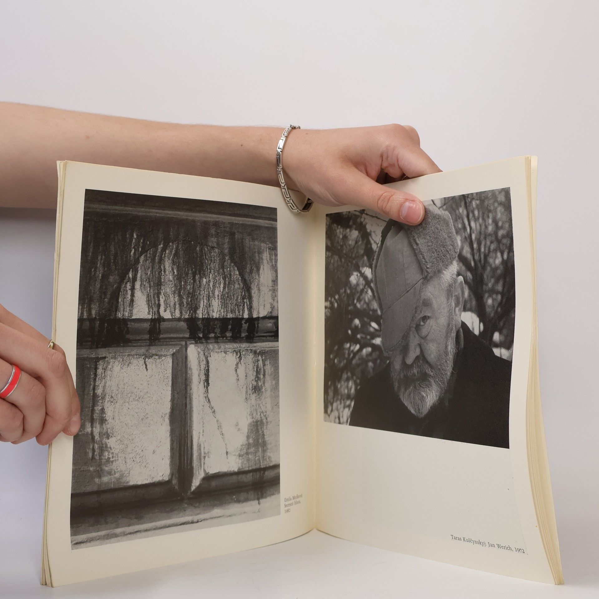 Jiří Mašín Česká výtvarná fotografie : oborová výstava