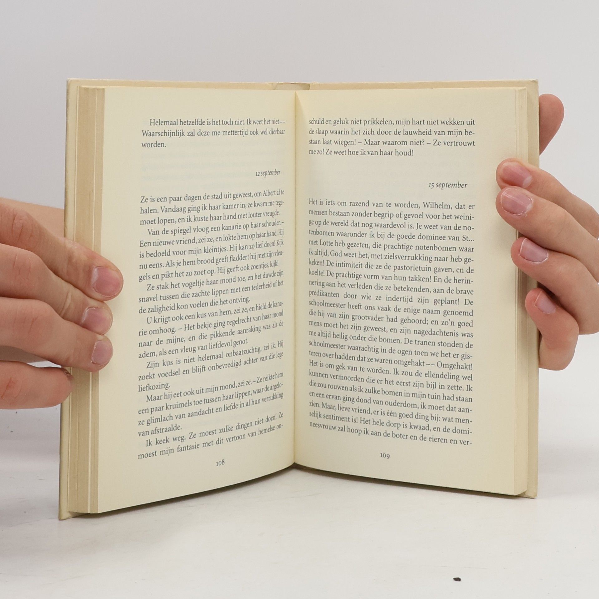 Johann Wolfgang von Goethe Salamander Klassiek: Het lijden van de jonge Werther