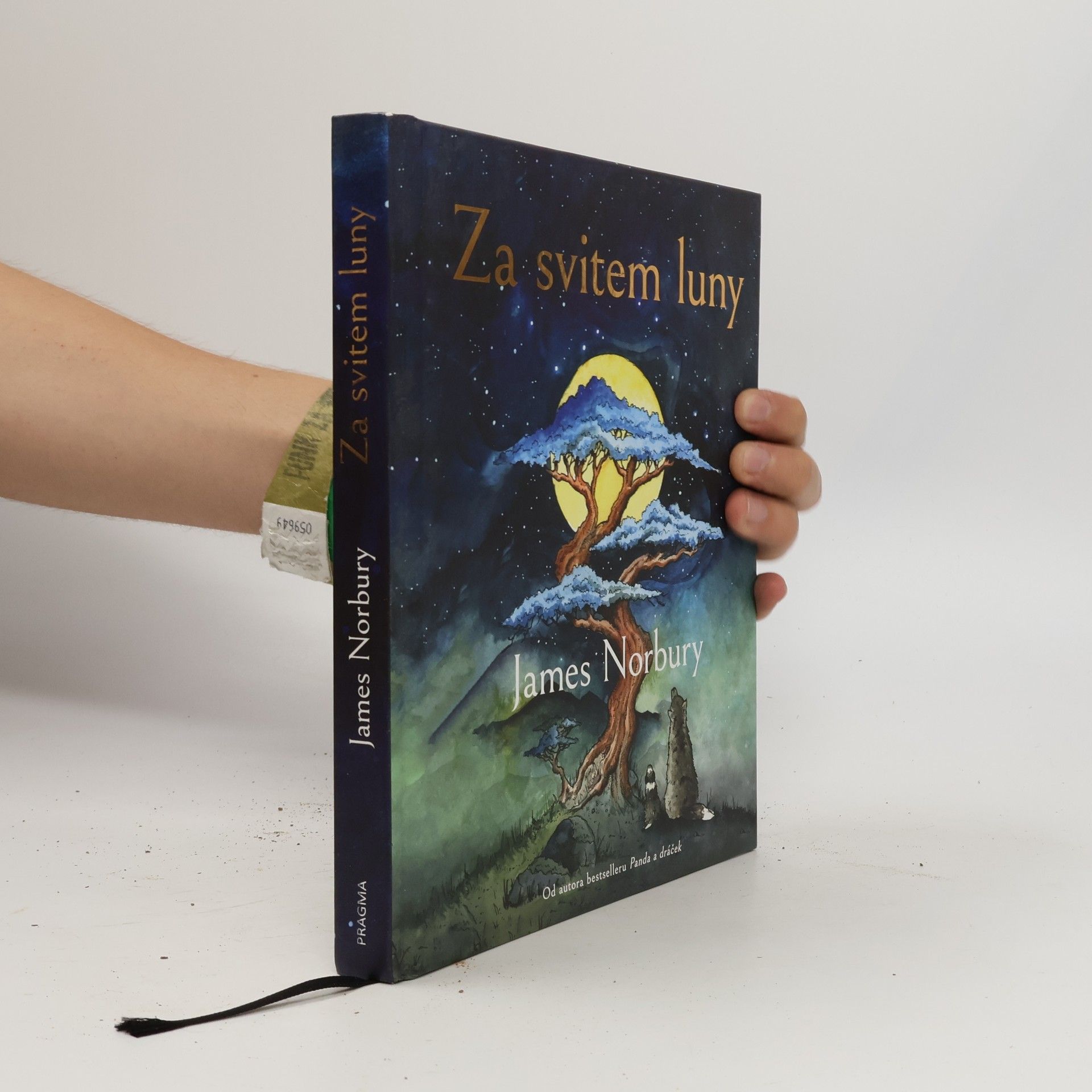 James Norbury Za svitem luny