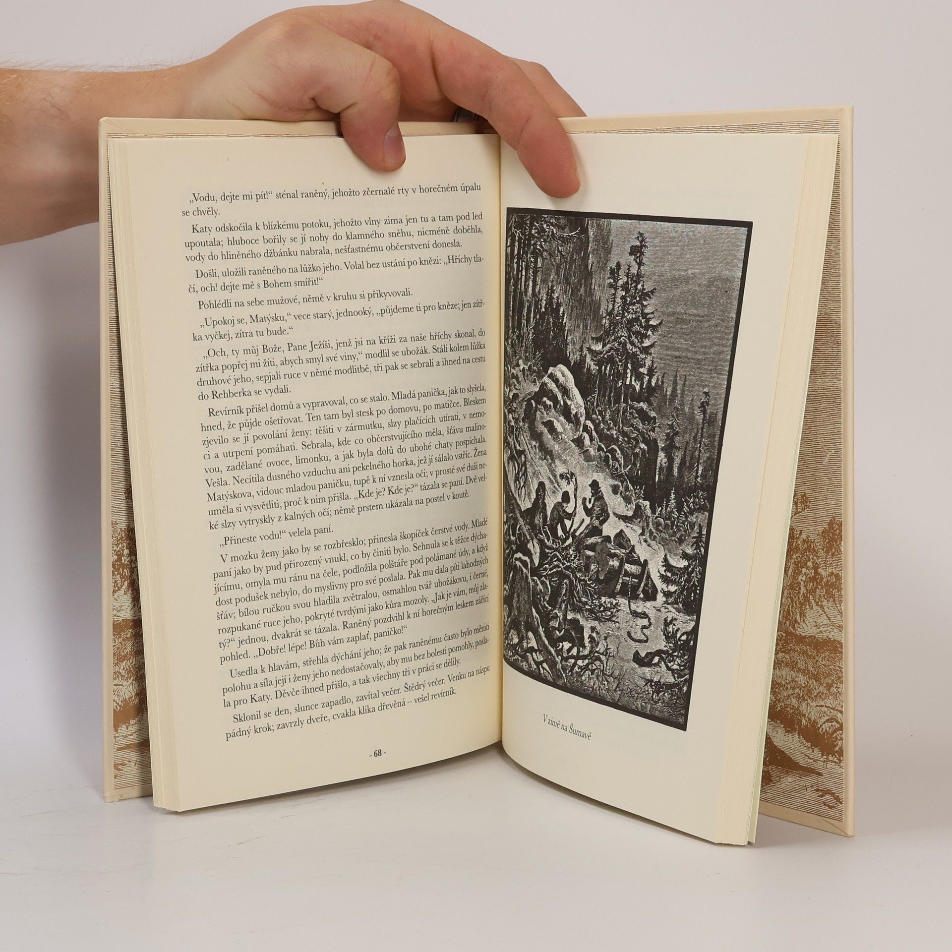 Collectif d'auteurs Šumavské romance