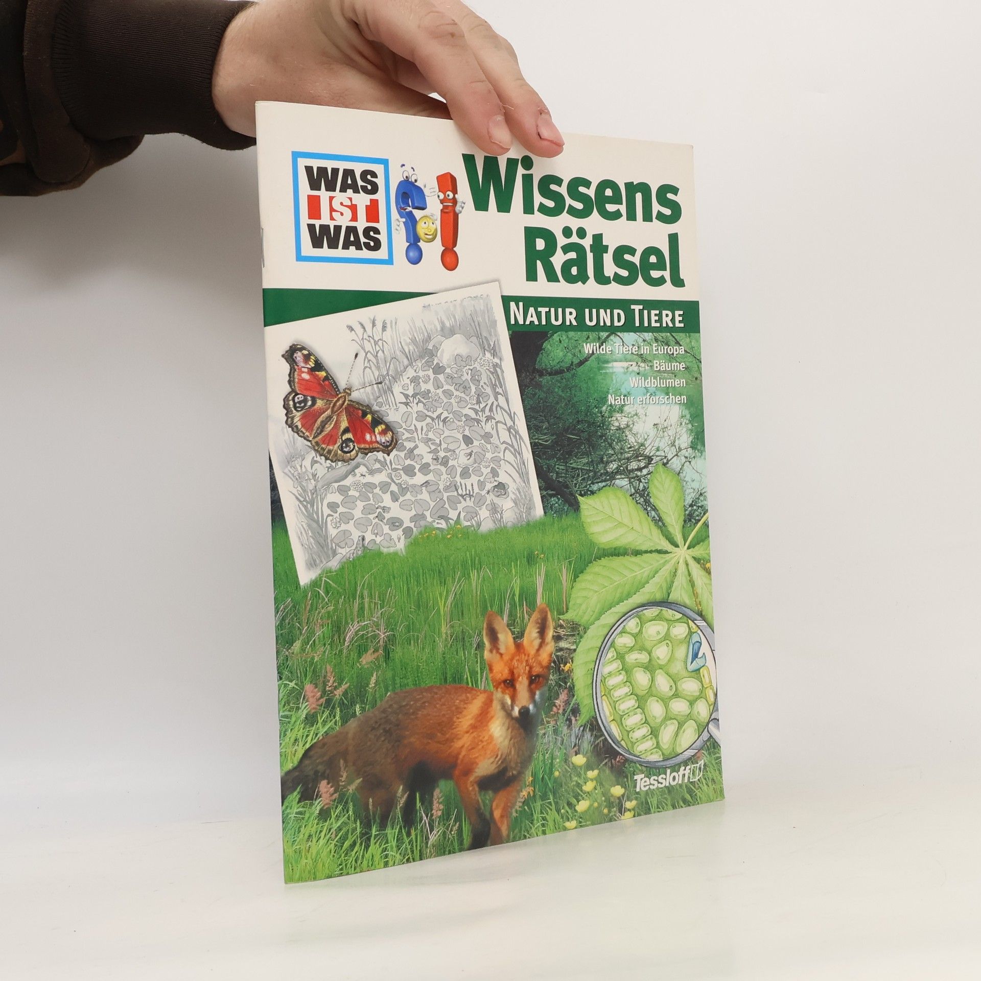 Wissens-Rätsel