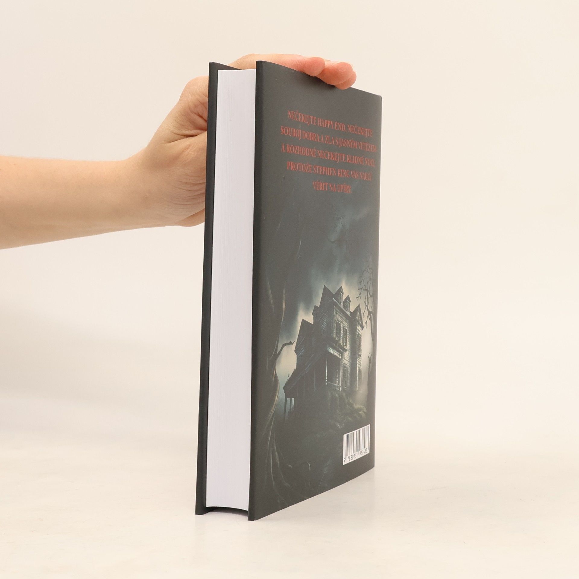 Stephen King Prokletí Salemu
