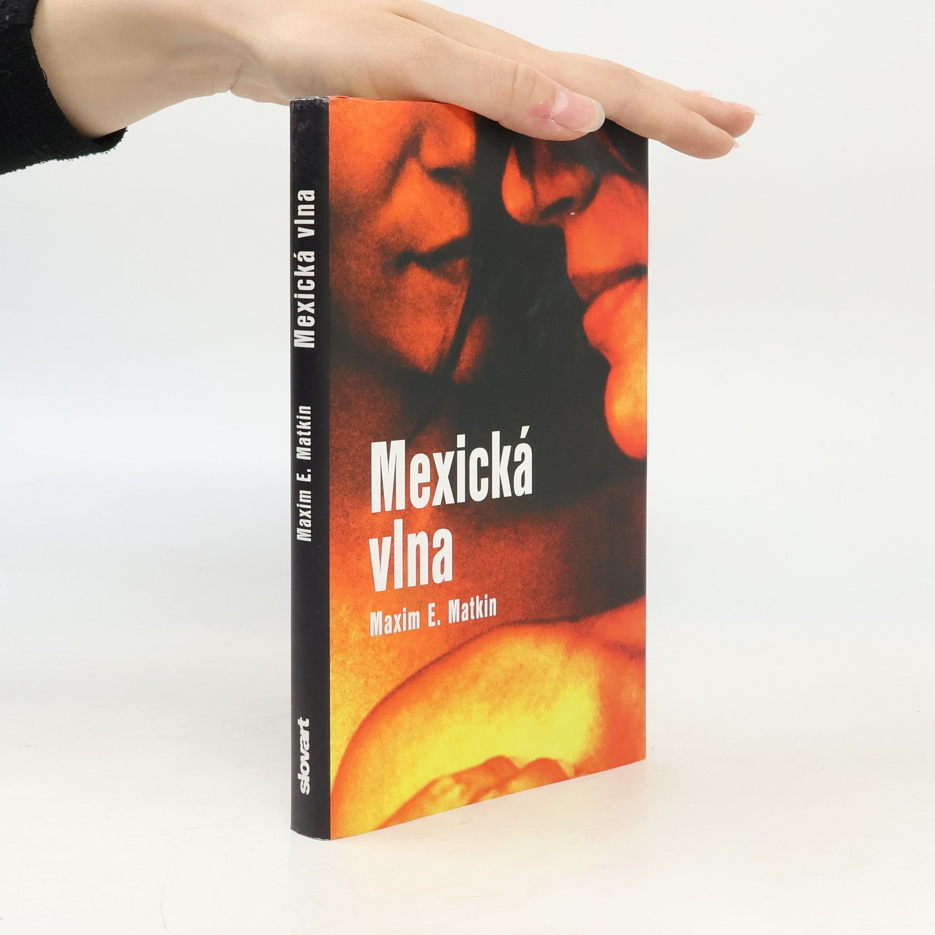 Maxim E. Matkin Mexická vlna