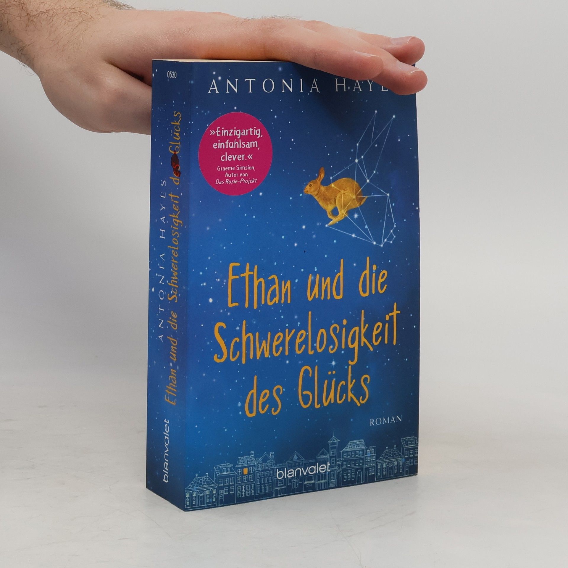 Antonia Hayes Ethan und die Schwerelosigkeit des Glücks