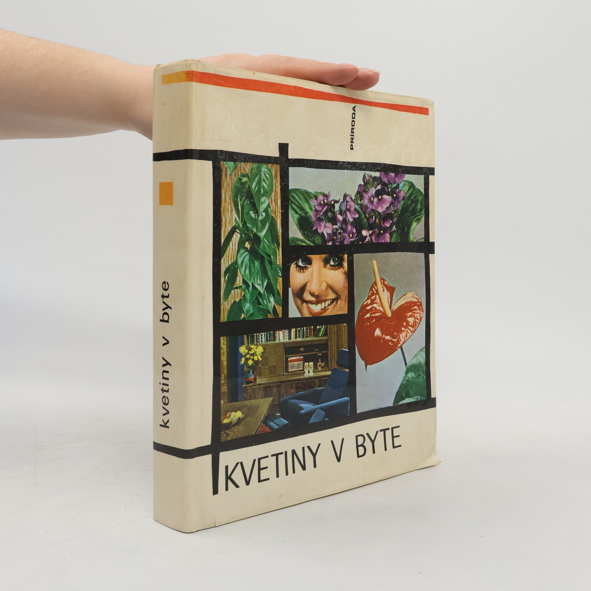 Jaroslav Machovec Kvetiny v byte