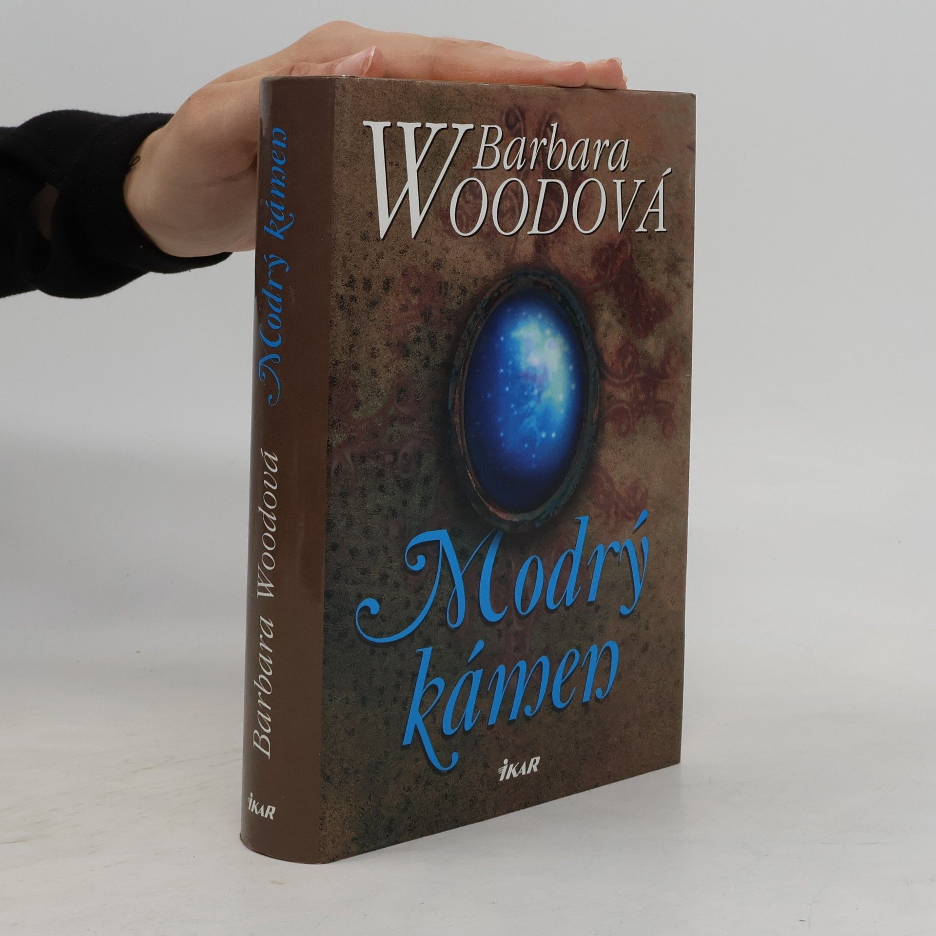 Barbara Wood Modrý kámen