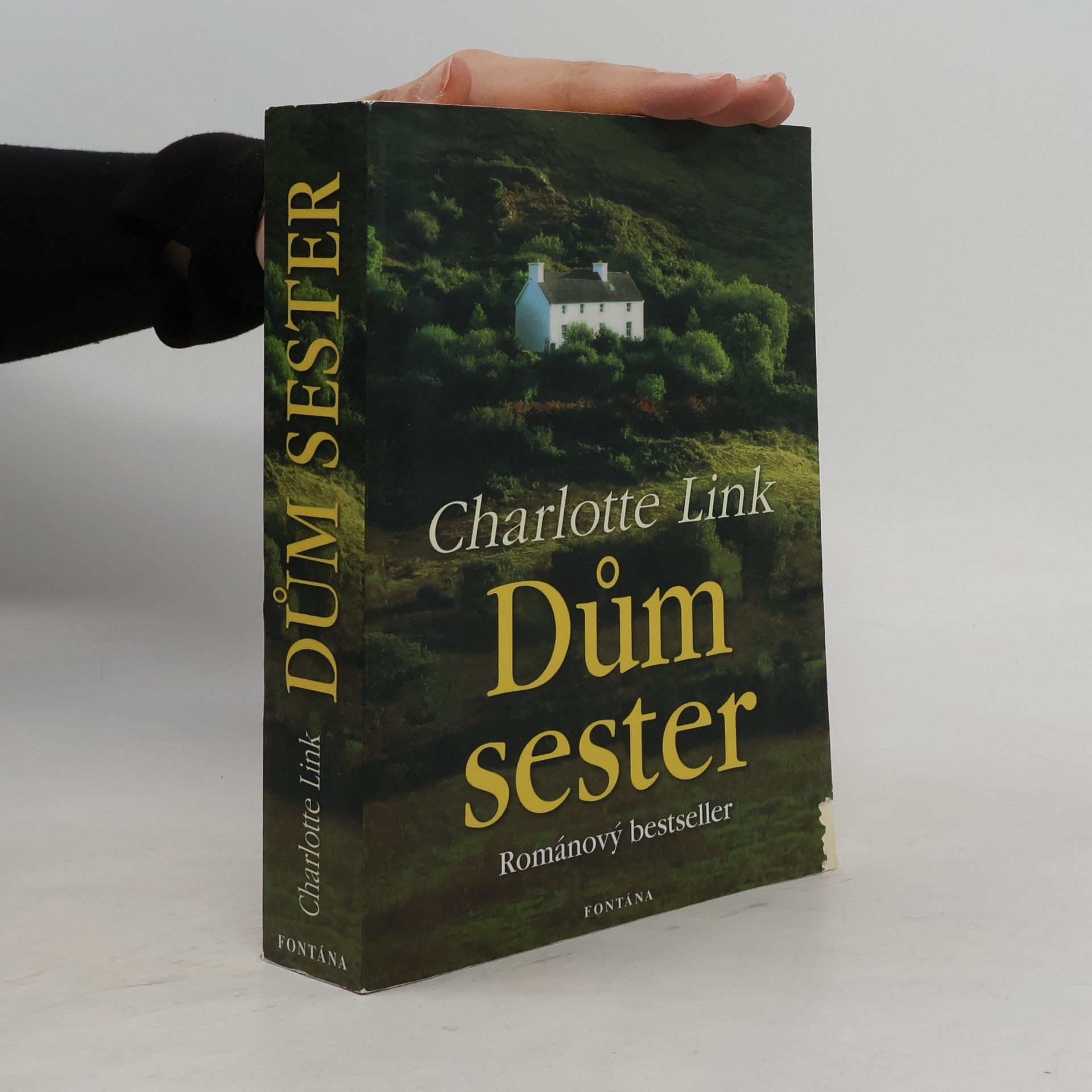 Charlotte Link Dům sester