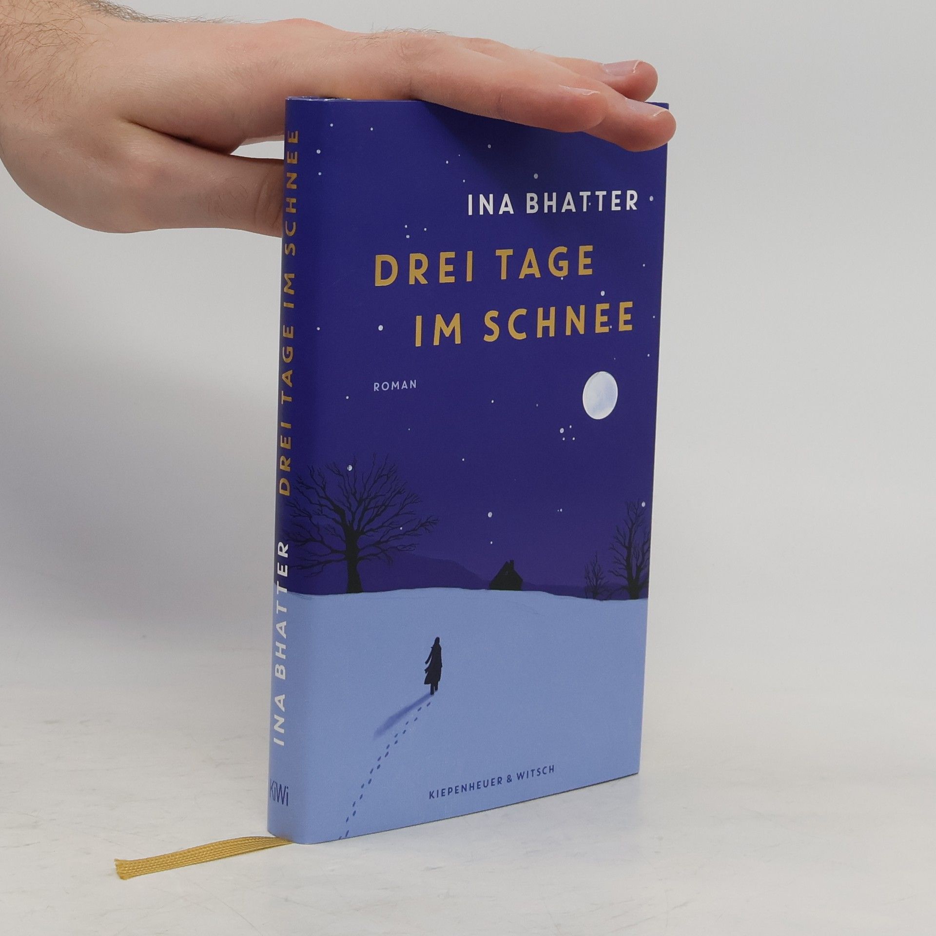 Ina Bhatter Drei Tage im Schnee