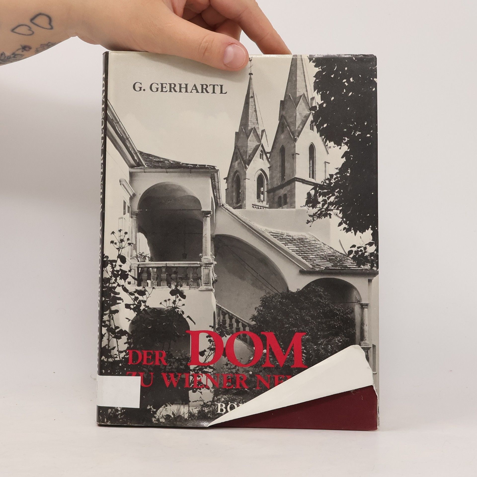 Gertrud Buttlar Der Dom zu Wiener Neustadt