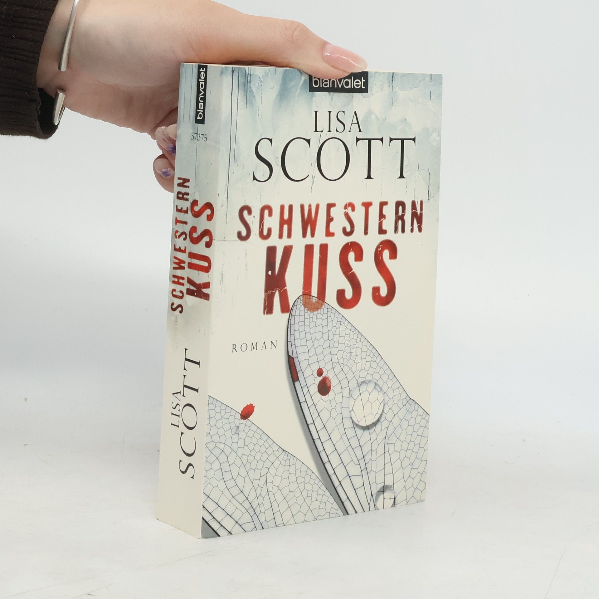 Harlan Coben Schwesternkuss