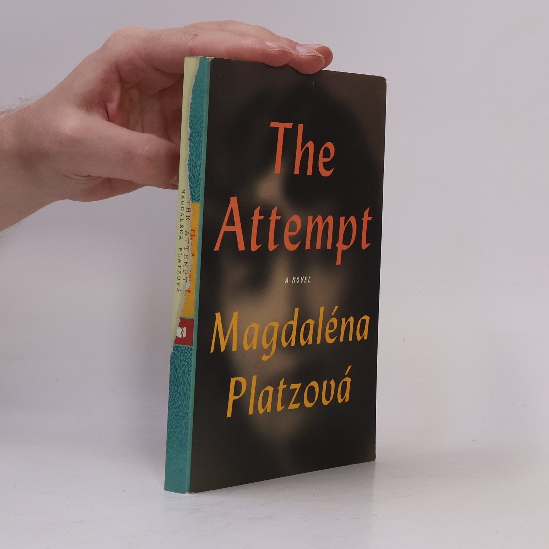 Alex Zucker The Attempt