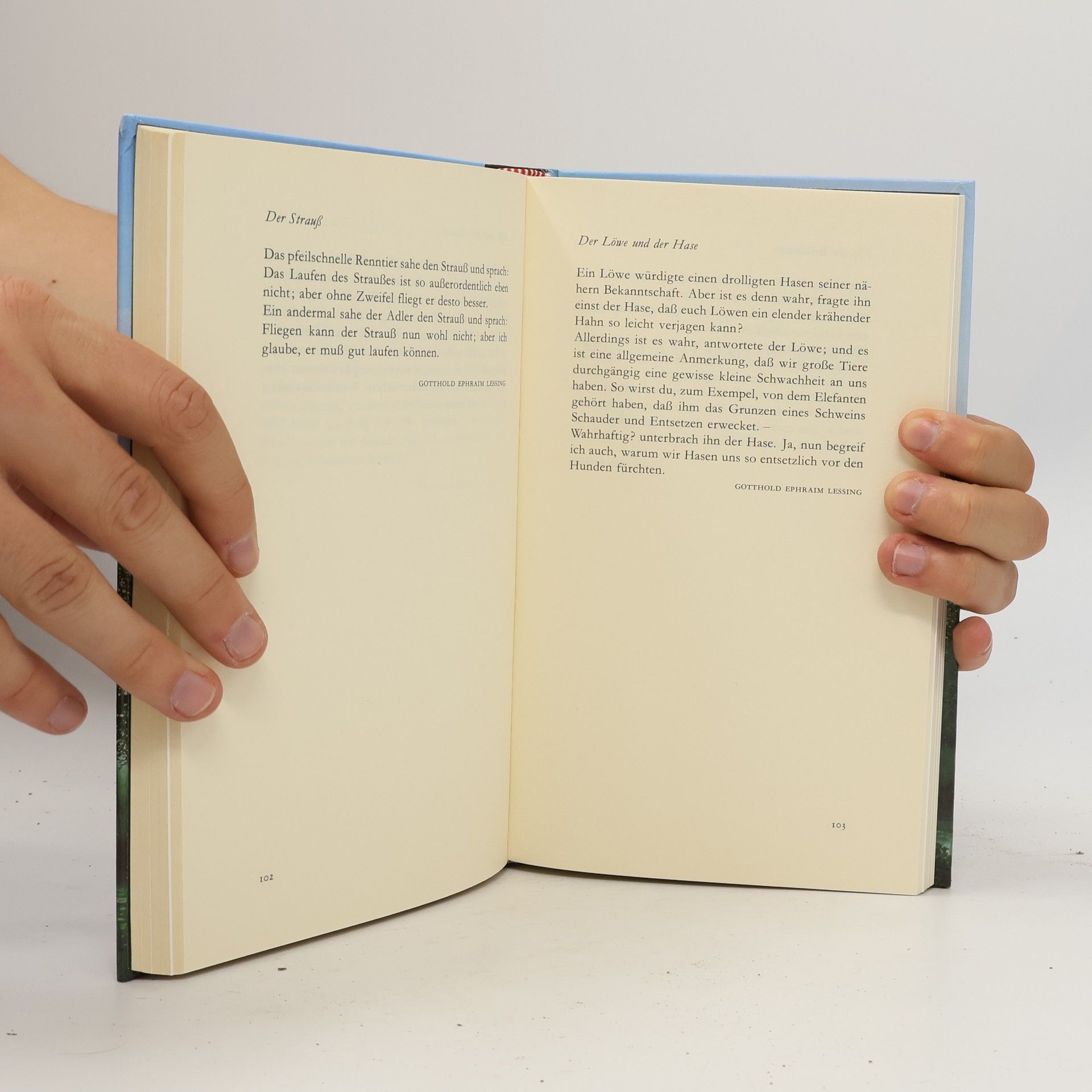 Pedro Zimmermann Das Hausbuch der fabelhaften Fabeln