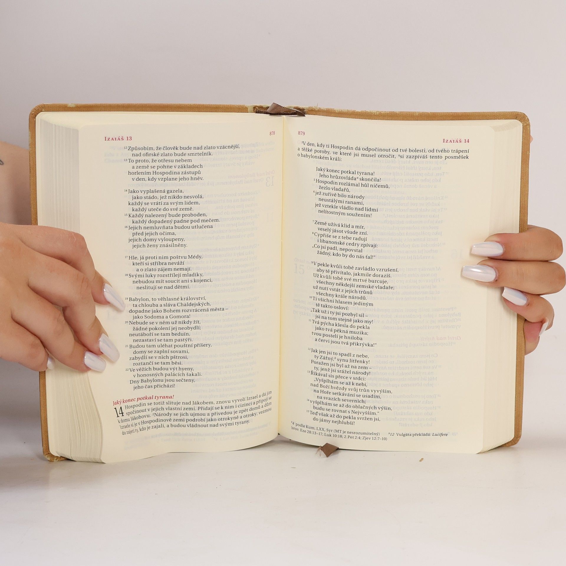 Alexandr Flek Bible. Překlad 21. století