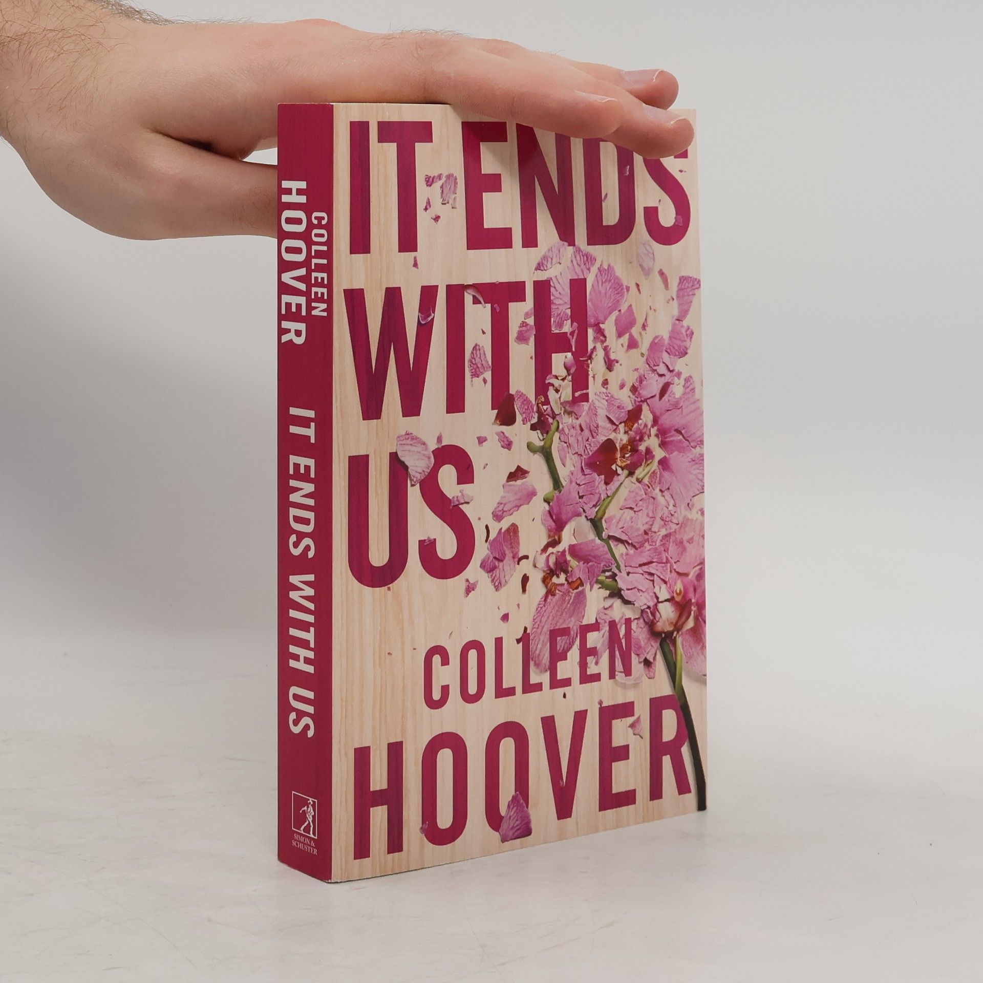 Colleen Hoover It Ends With Us