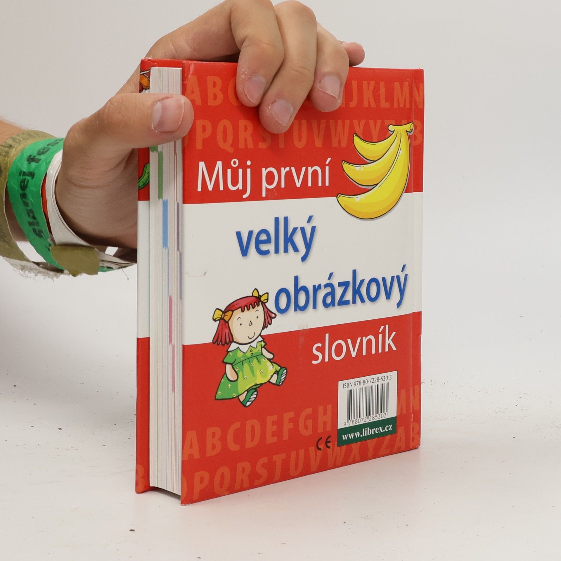 Kolektiv autorů Můj první velký obrázkový slovník : [anglické výrazy s výslovností]