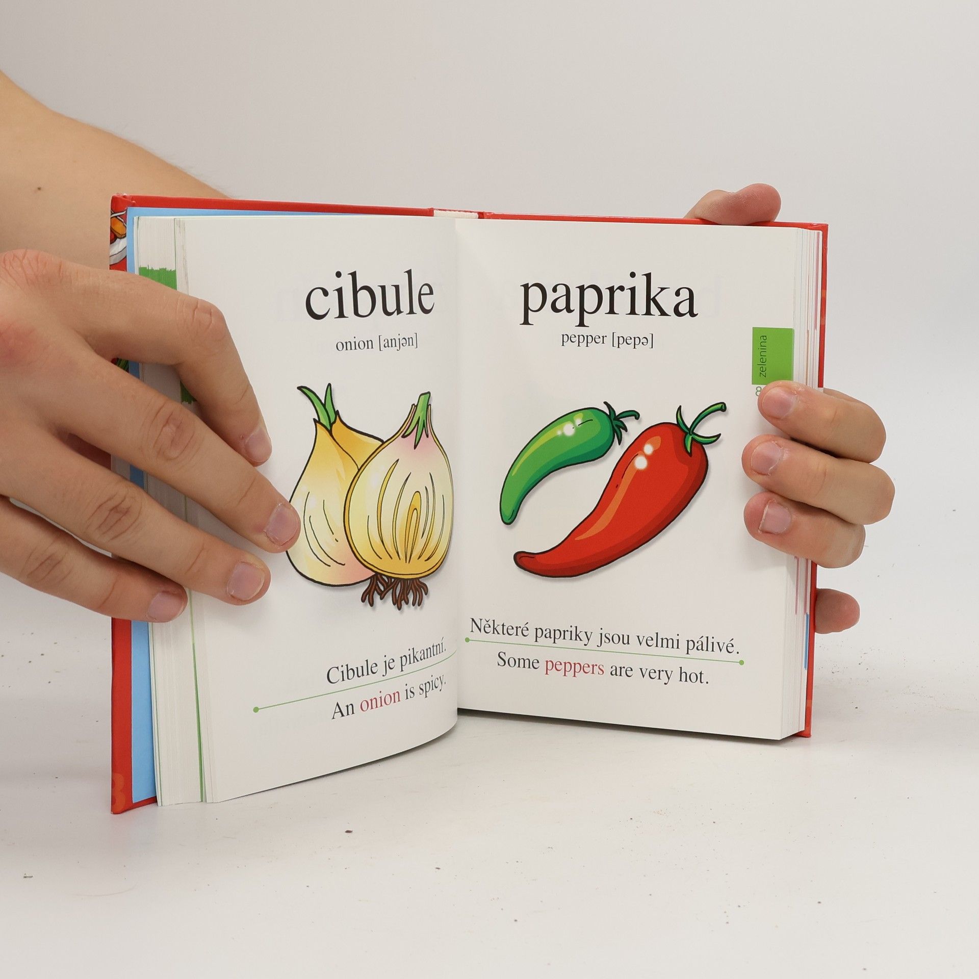 Kolektiv autorů Můj první velký obrázkový slovník : [anglické výrazy s výslovností]