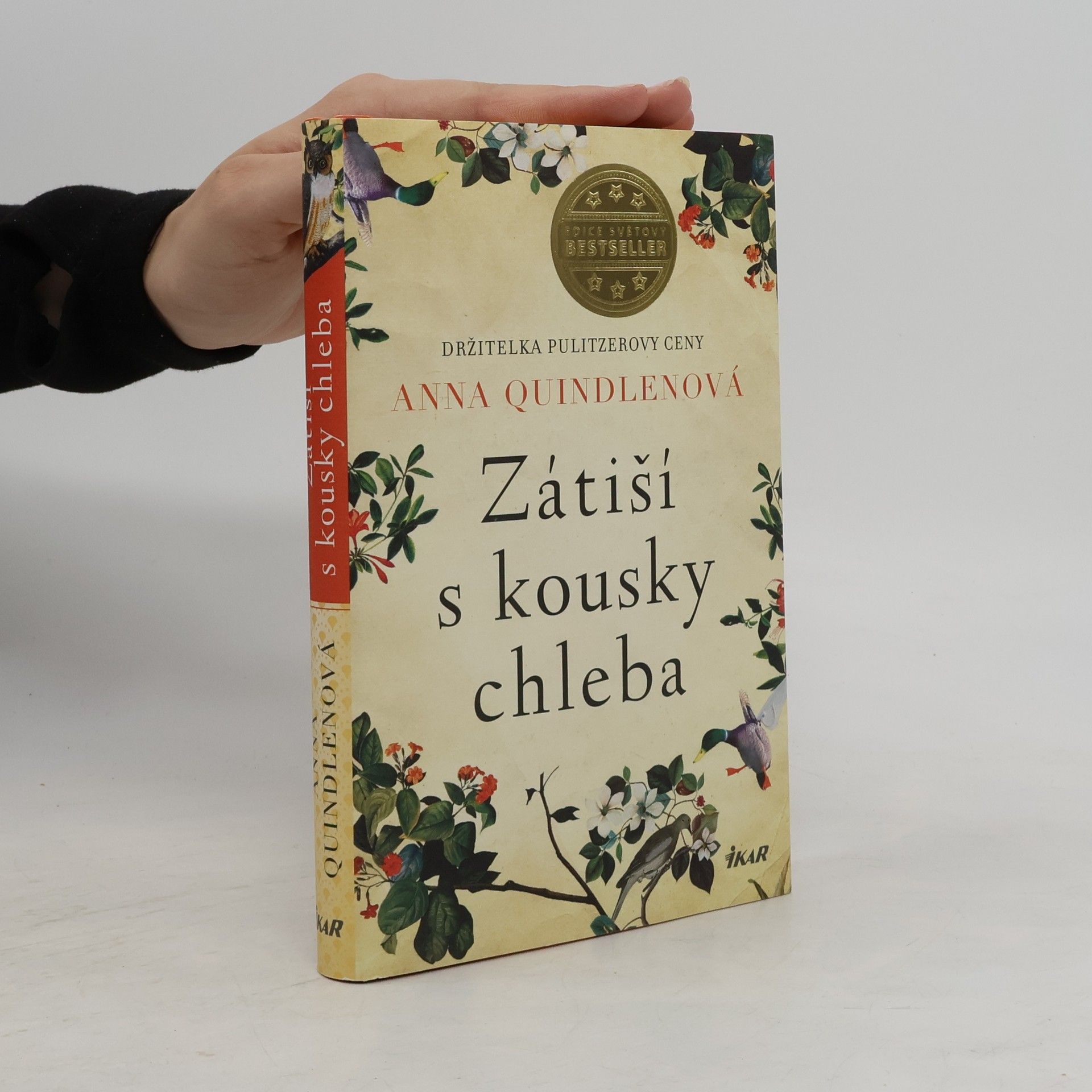 Anna Quindlen Zátiší s kousky chleba