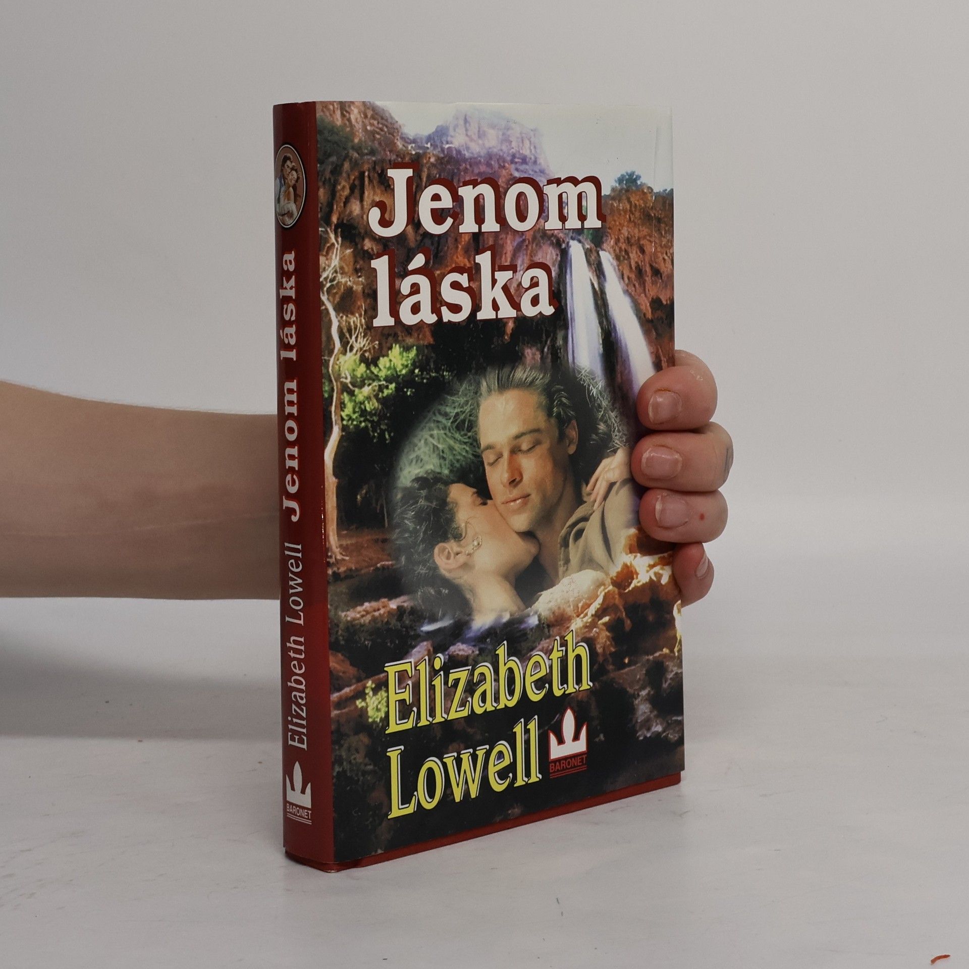Ann Maxwell Jenom láska