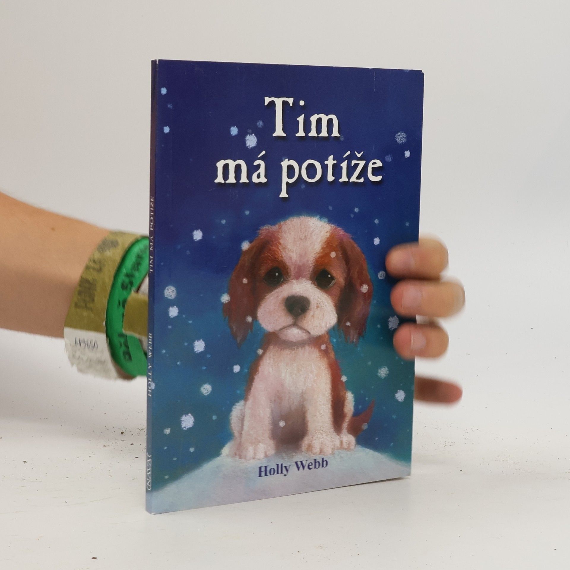 Holly Webb Tim má potíže