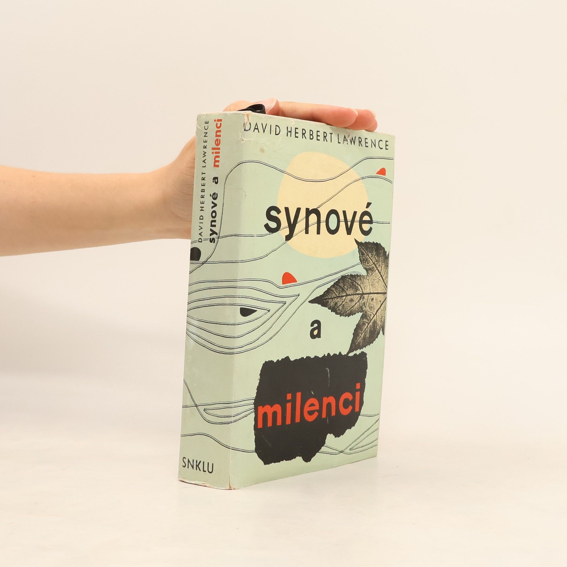 David Herbert Lawrence Synové a milenci
