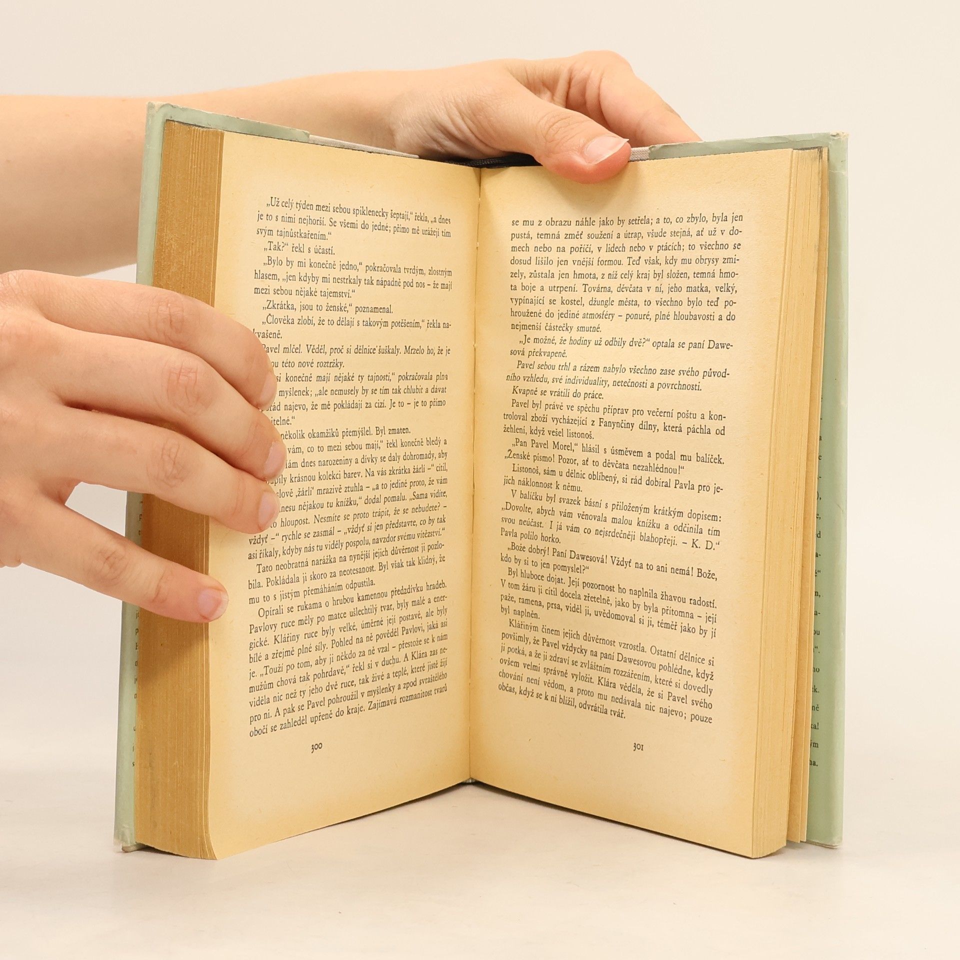 D. H. Lawrence Synové a milenci