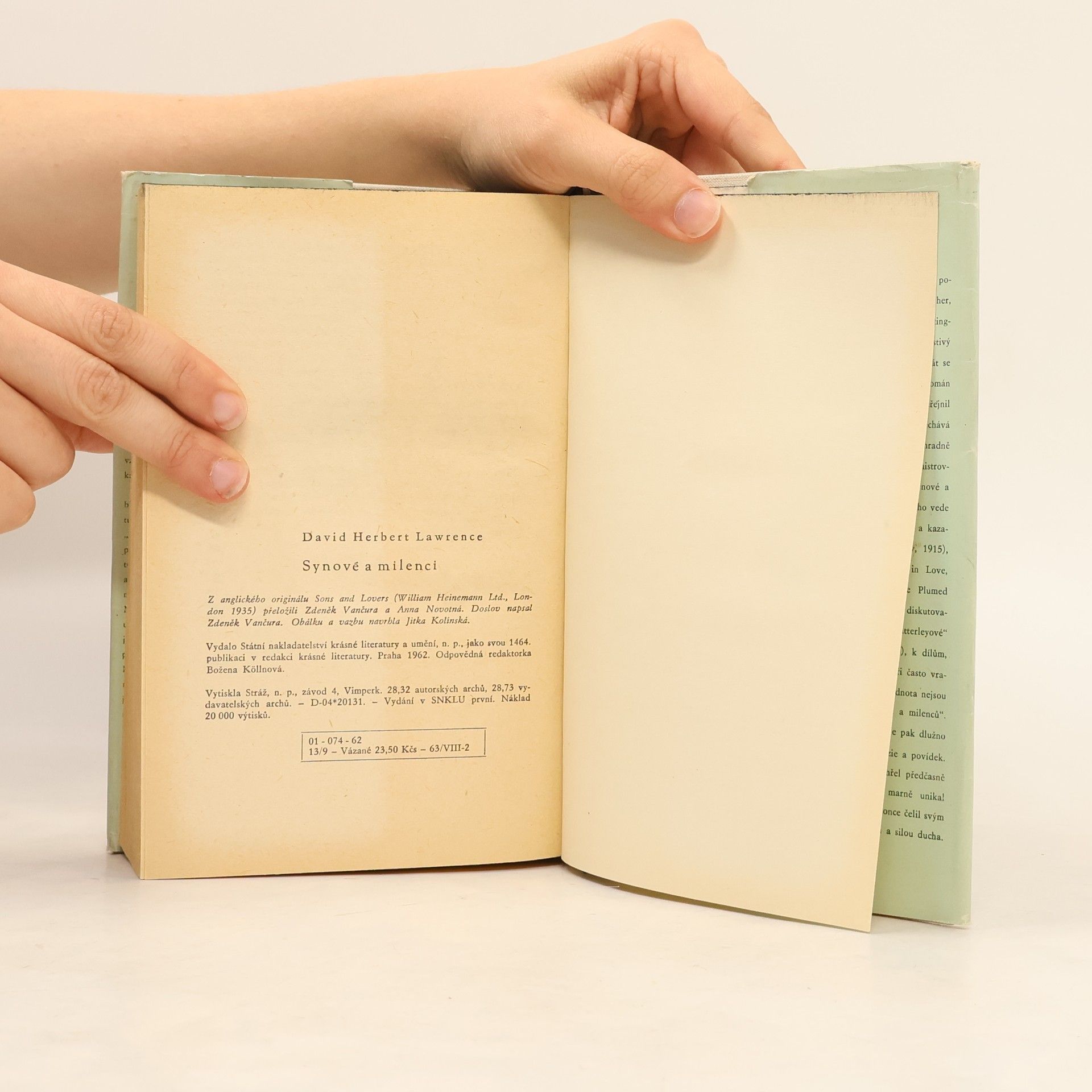 D. H. Lawrence Synové a milenci