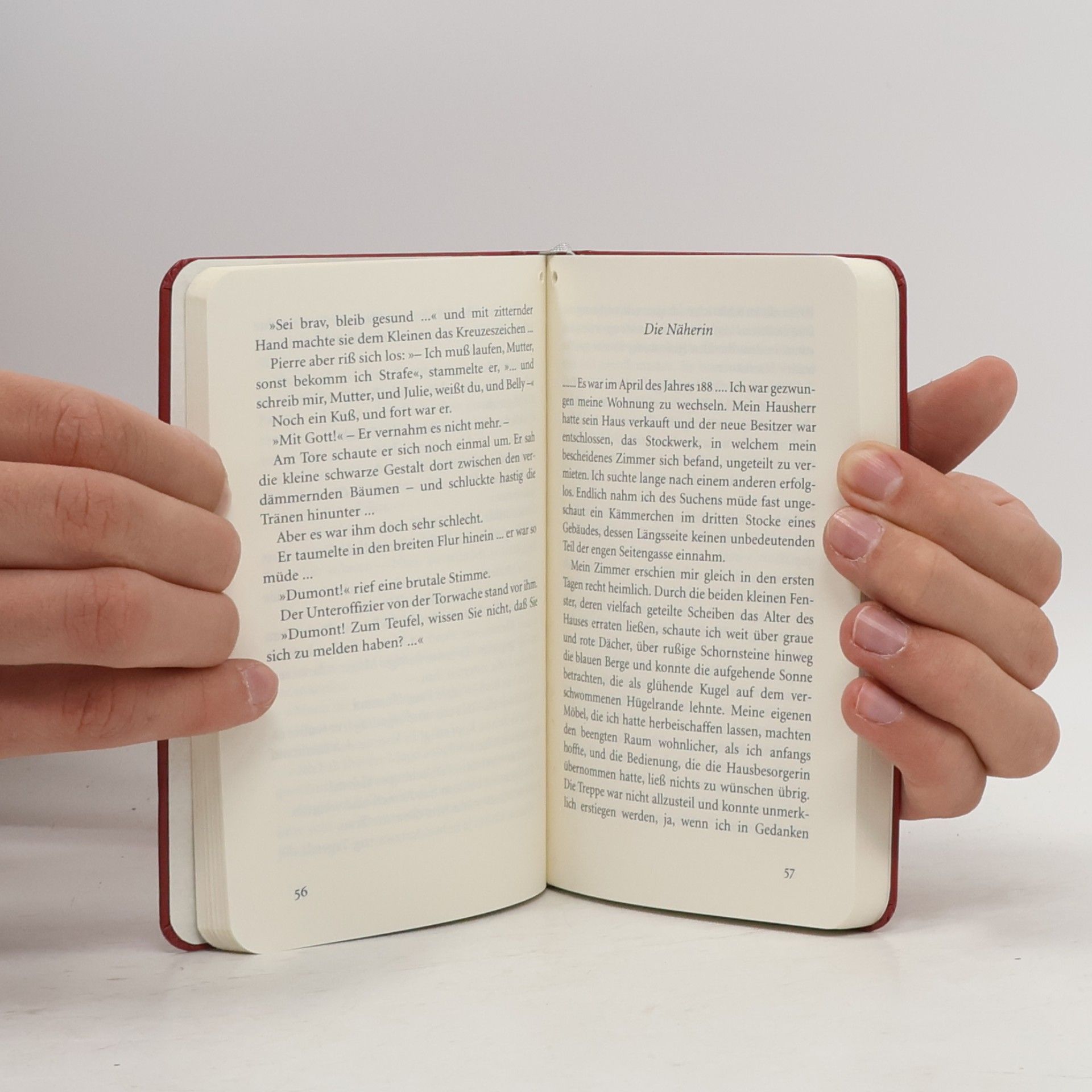 Rainer Maria Rilke Meistererzählungen