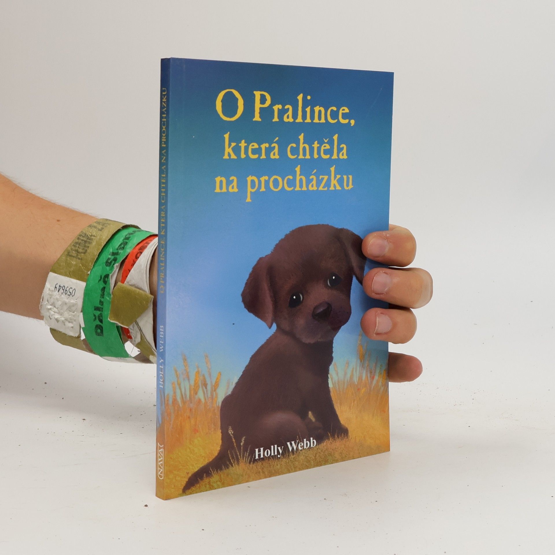 Holly Webb O Pralince, která chtěla na procházku