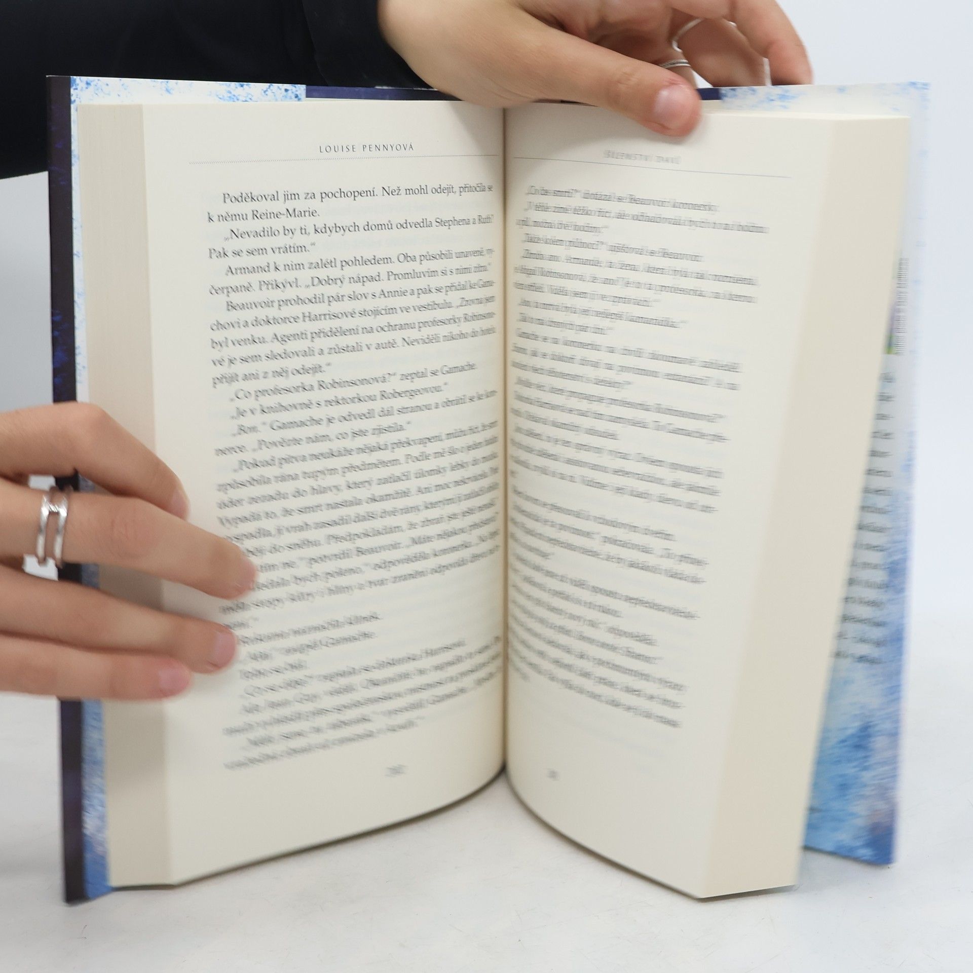 Louise Penny Šílenství davů