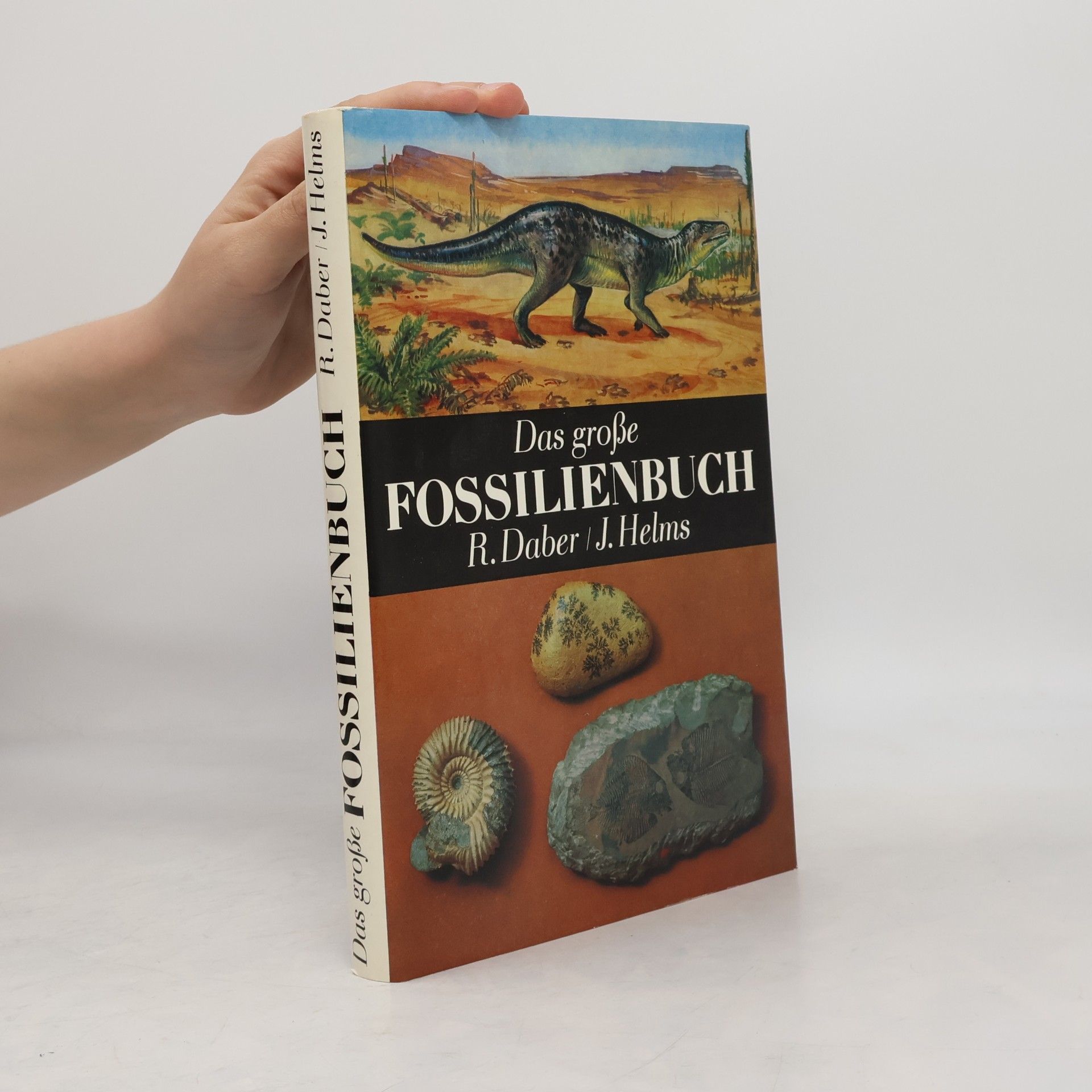 Rudolf Daber Das grosse Fossilienbuch