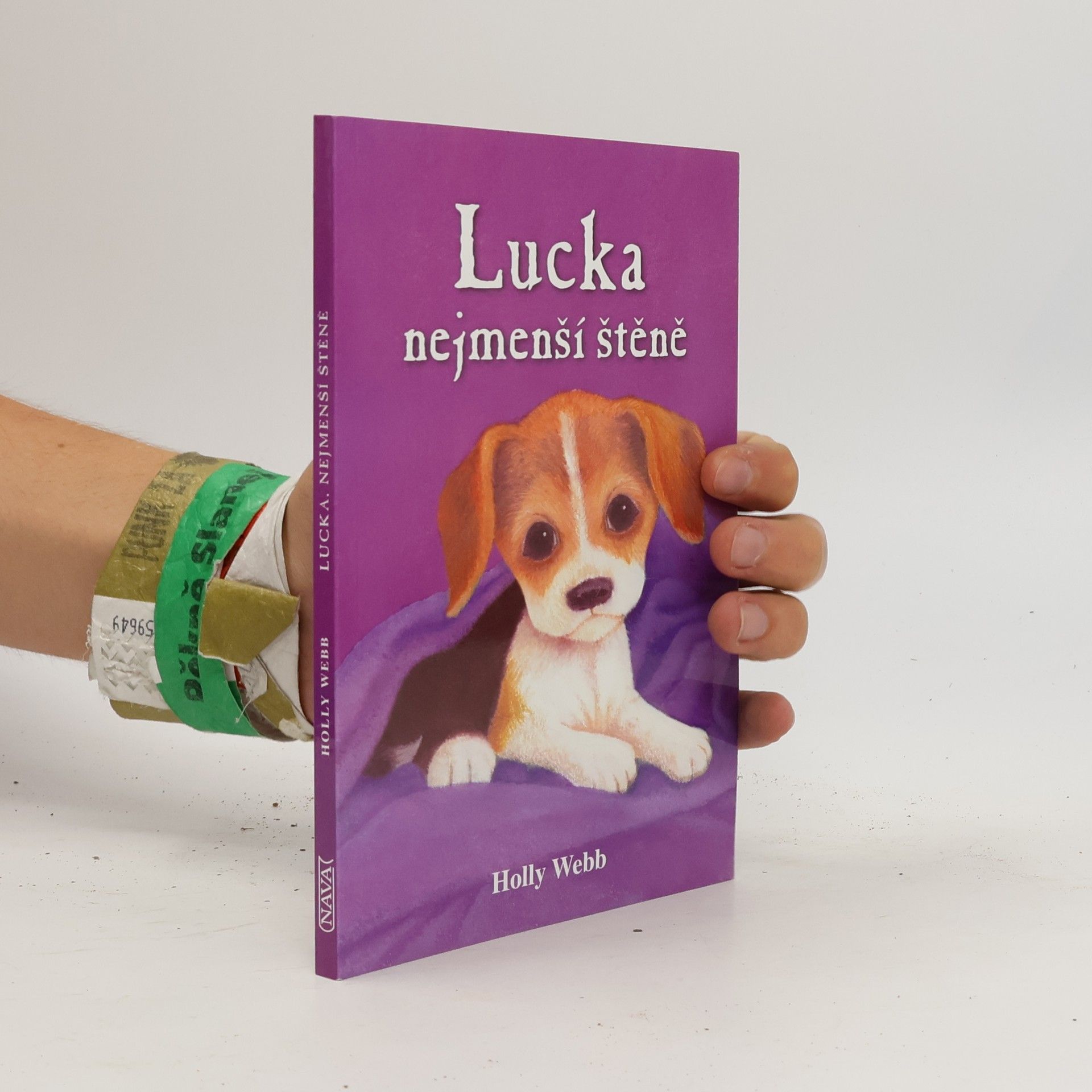 Holly Webbová Lucka, nejmenší štěně