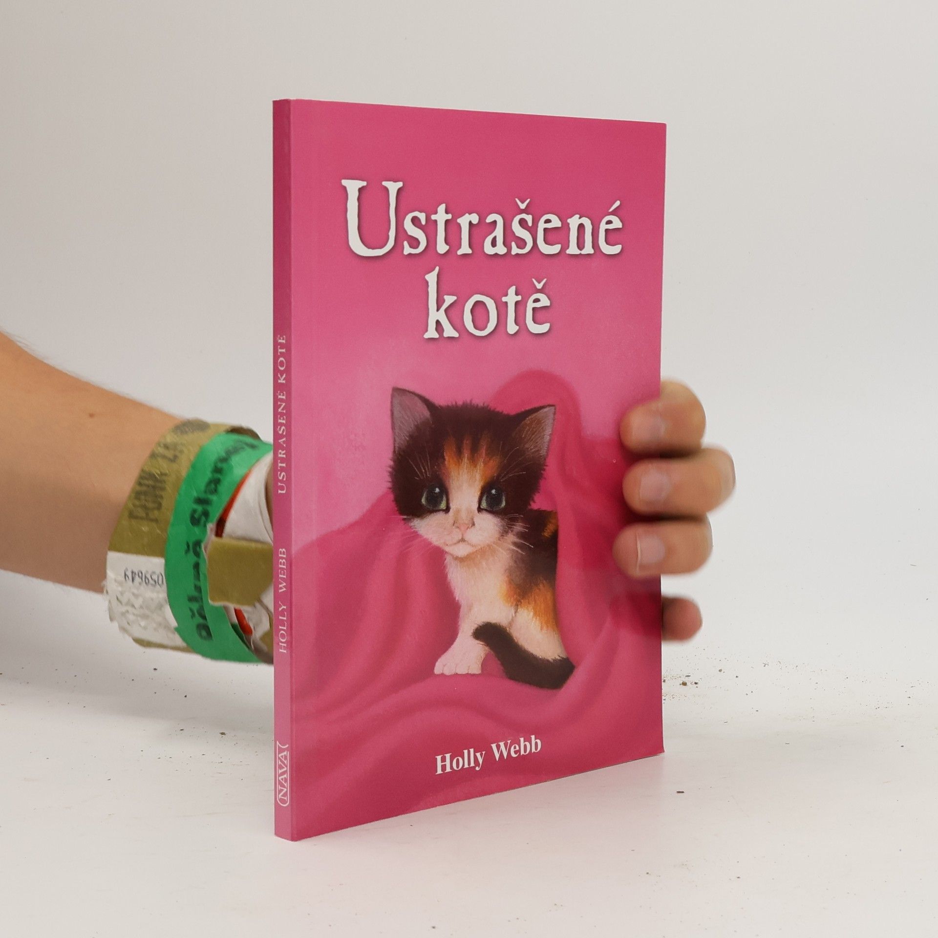 Holly Webb Ustrašené kotě